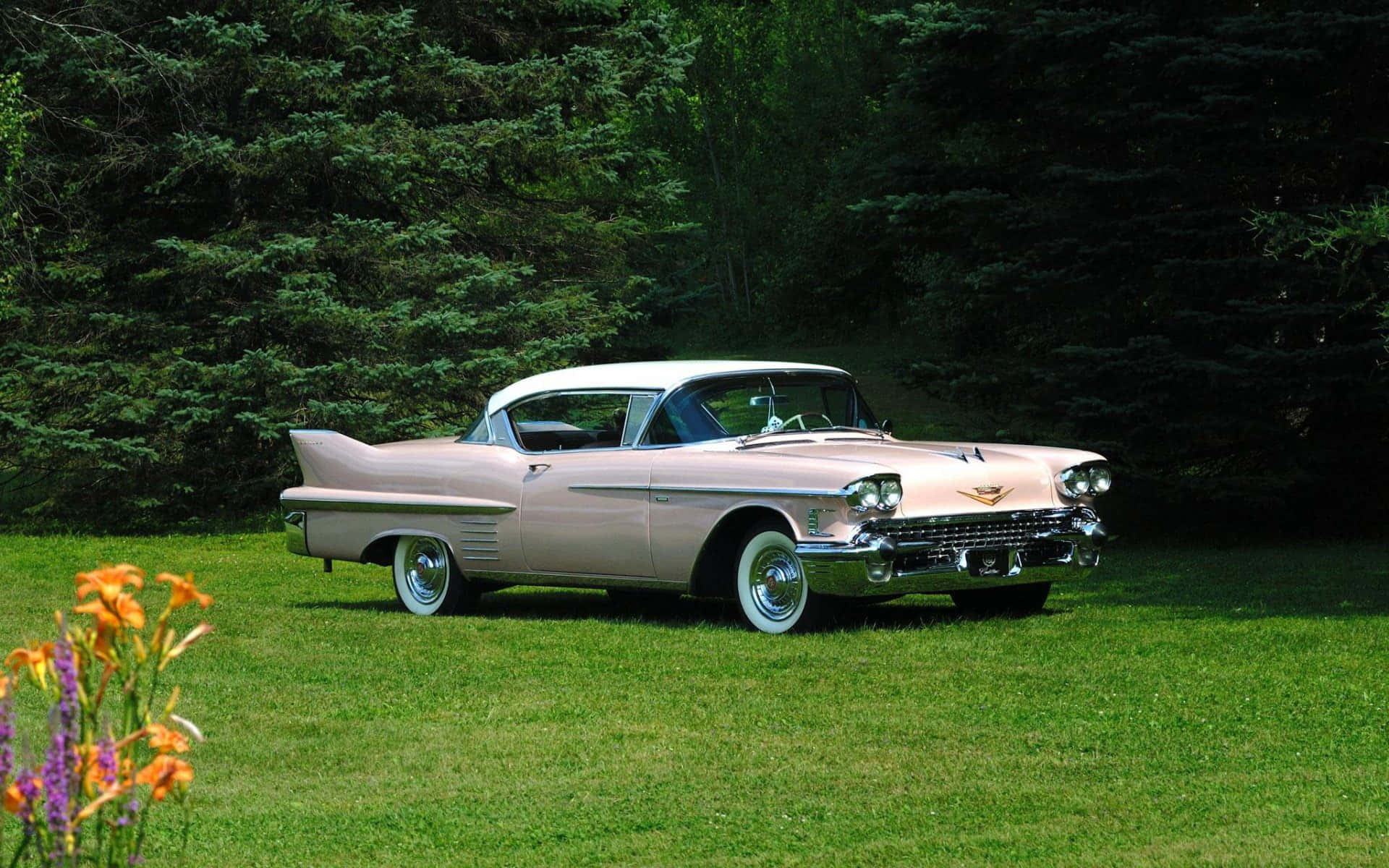 Cadillac Deville 桌布 壁紙 — 一輛白色車頂的復古粉紅色凱迪拉克停在綠色草地上，前方是茂密的森林，前景有橙色和紫色的花朵。