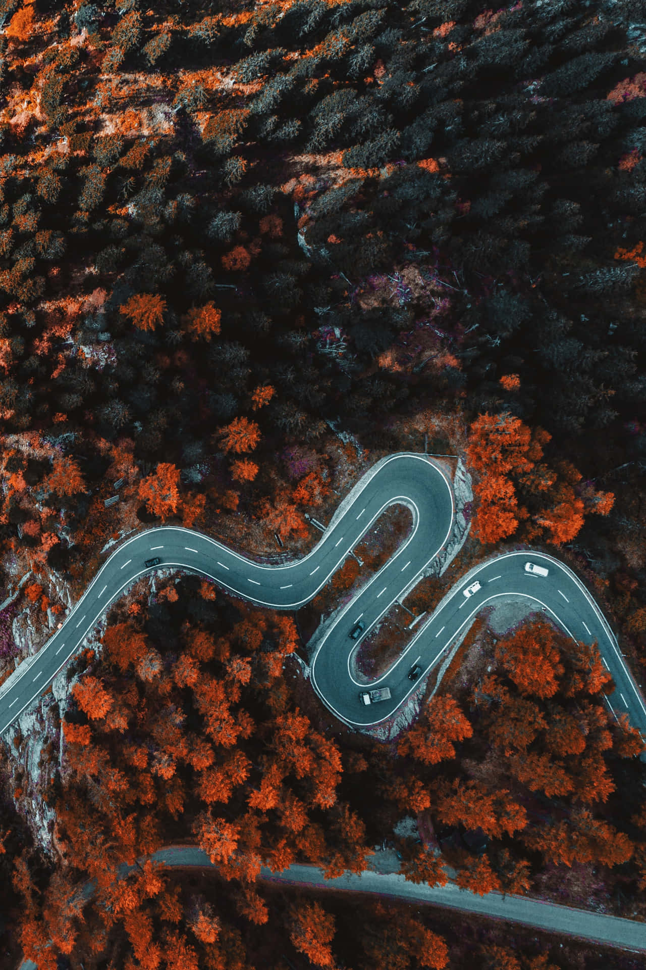 從上方俯瞰穿過橙色秋林的彎曲道路 — 4K 壁紙