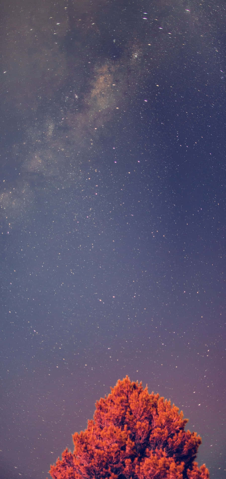 Galaxy S10 Plus 背景