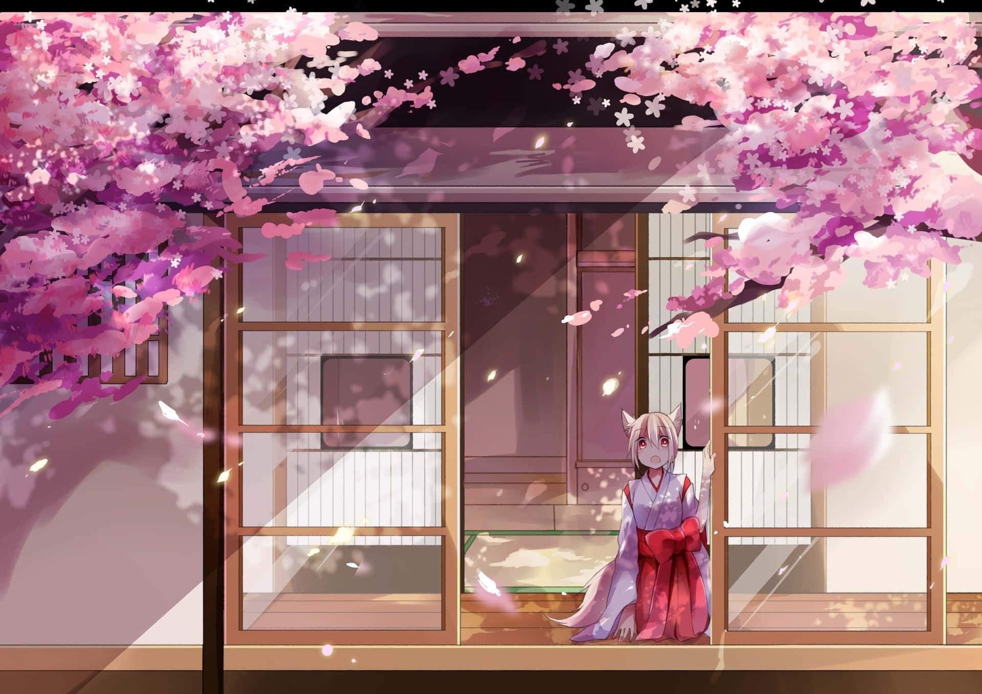  壁紙 — 一個有狐狸耳朵的動漫女孩穿著紅色和服，坐在傳統日式房屋中盛開的粉紅色櫻花樹下。