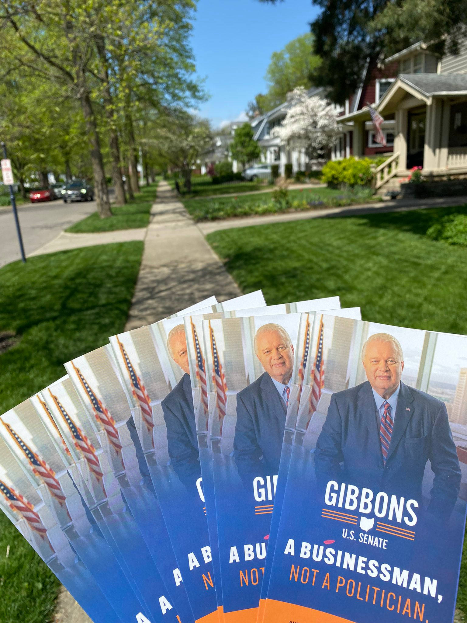 人物 桌布 壁紙 — Gibbons 美國參議員候選人的扇形競選傳單放在前景，背景是陽光明媚的郊區人行道，有綠色草坪和房屋。