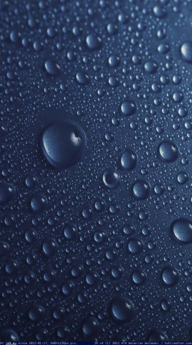  壁紙 — 閃爍的水滴依附在深藍色表面上，營造出寧靜且具反射效果的抽象紋理。