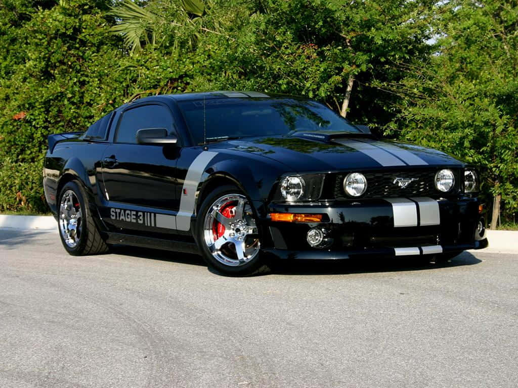 Ford Mustang Roush 桌布 壁紙 — 一輛亮黑色福特野馬，帶有白色賽車條紋和紅色制動卡鉗，停在柏油路上，旁邊是茂密的綠色樹葉。