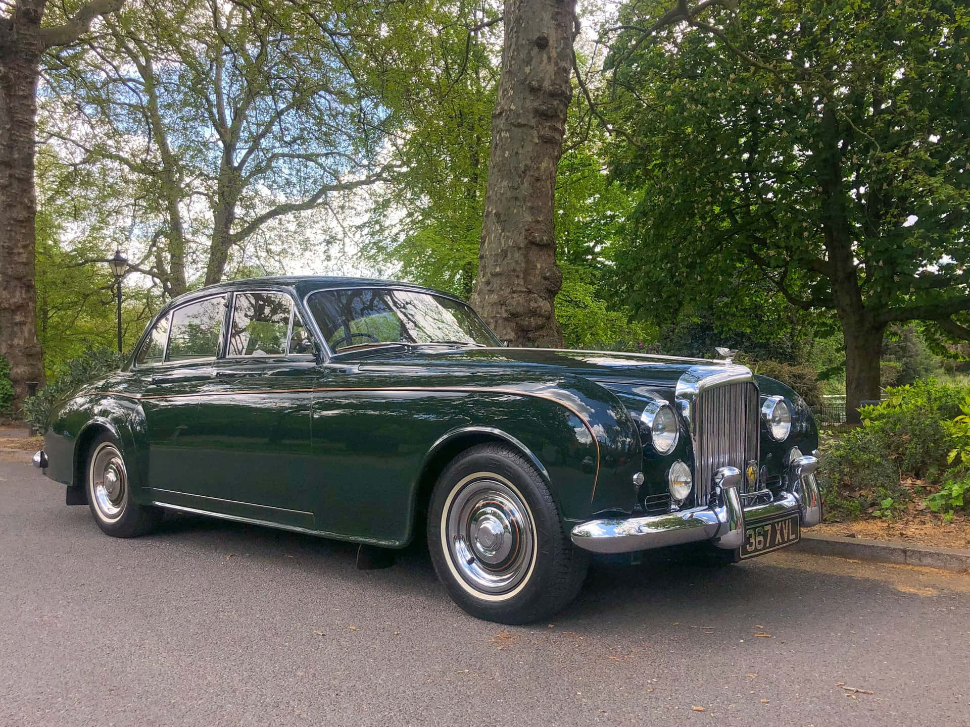 Bentley S2 桌布 壁紙 — 一輛光澤深綠色復古賓利轎車停在樹蔭下的柏油路上，陽光普照。