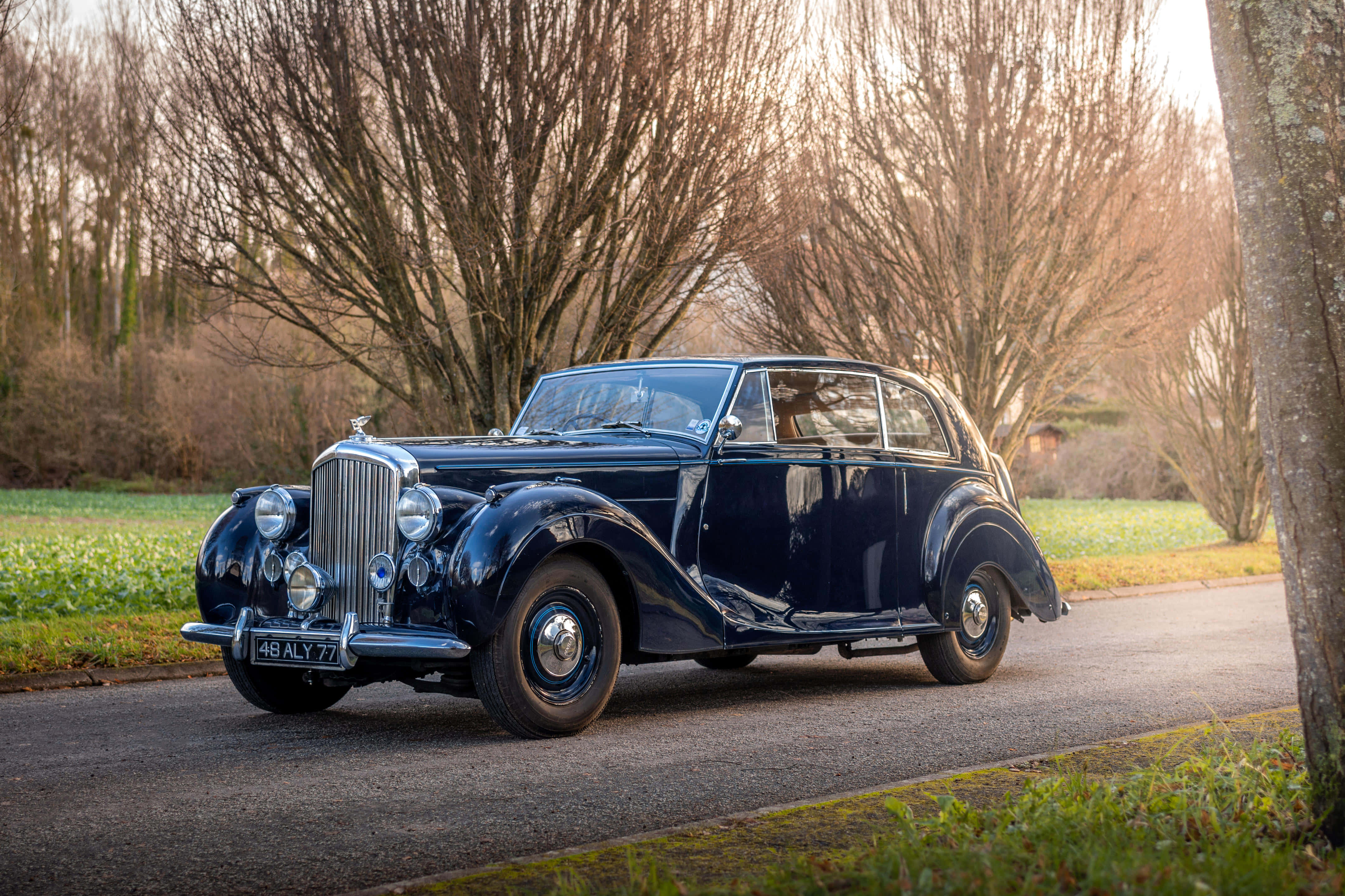 Bentley Mark Vi 桌布 壁紙 — 一輛光澤的深藍色復古賓利轎車停泊在樹木成蔭的鄉村道路上，正值黃金時刻。