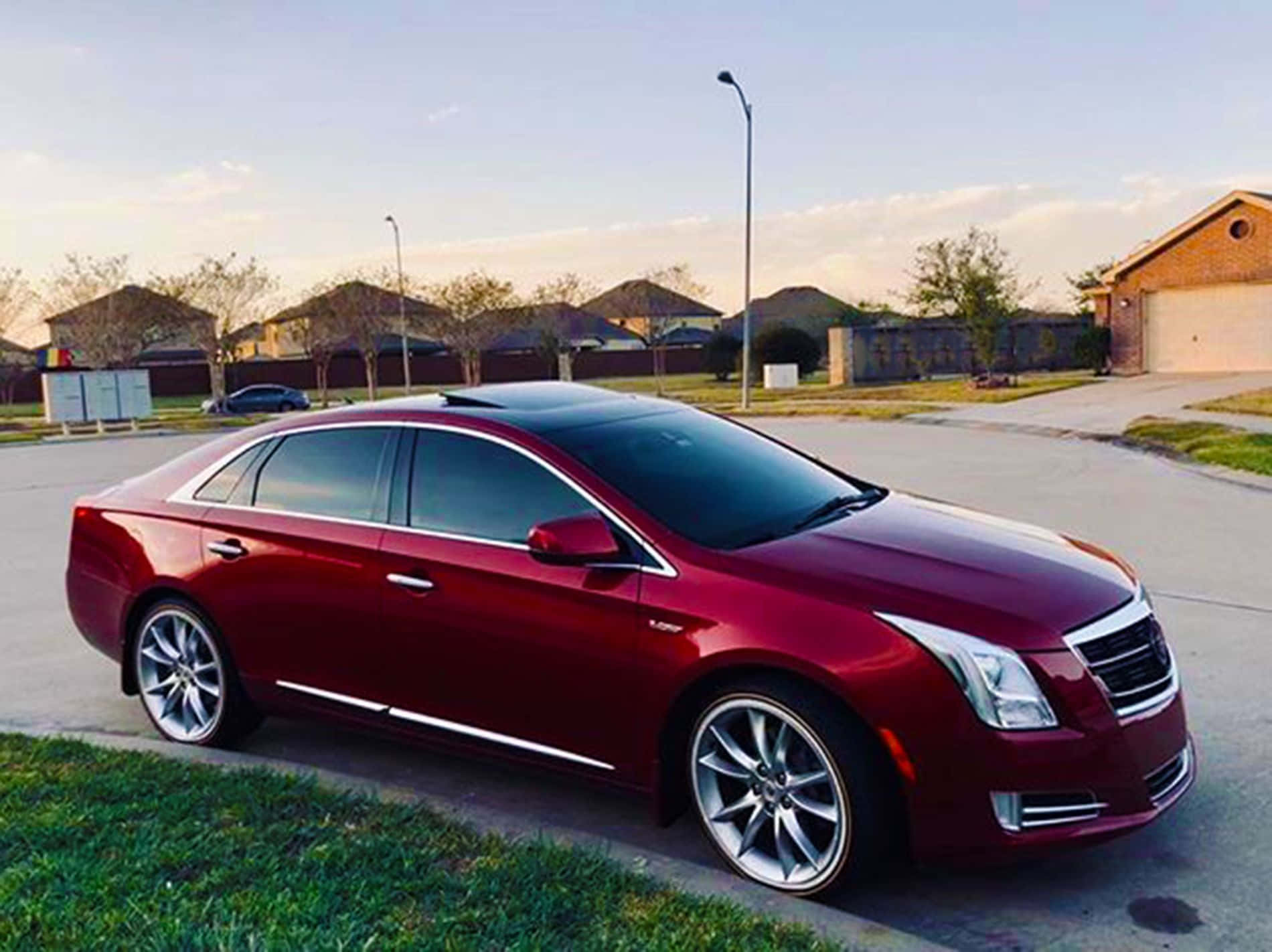 Cadillac Xts 桌布 壁紙 — 一輛光澤的紅色Cadillac ATS停放在郊區街道上，正值黃金時刻，柔和陽光突顯其流暢曲線和鉻合金輪圈。