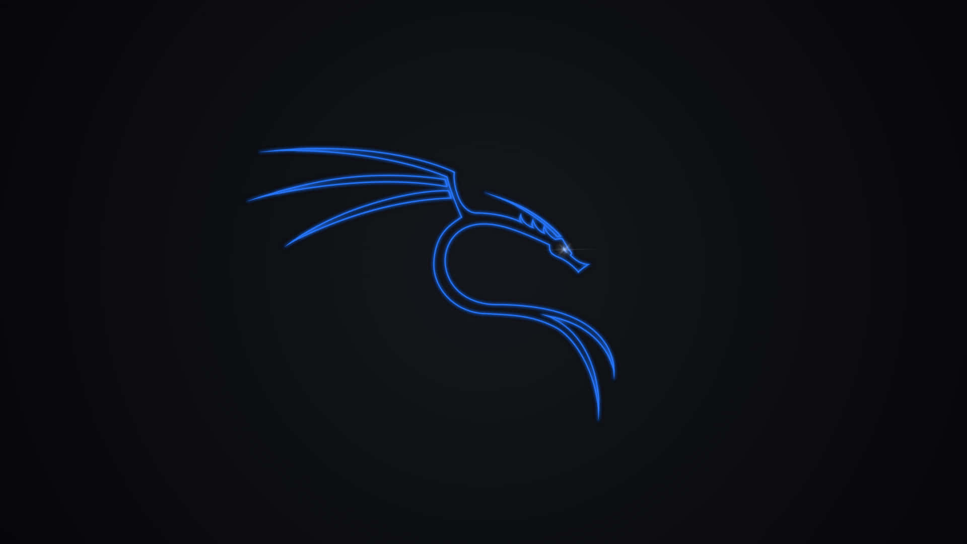 在深色背景上帶有柔和光環的發光藍色龍剪影。 — Kali Linux 壁紙