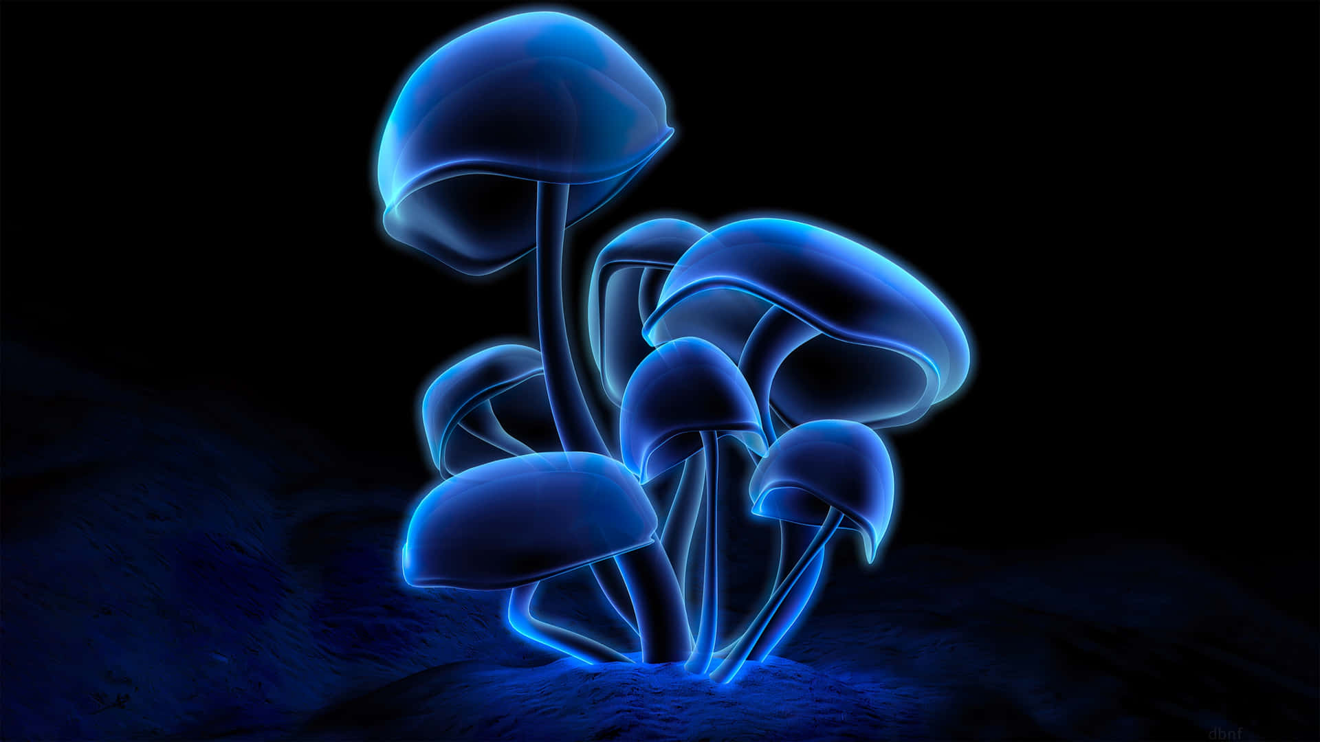 壁紙 — 發光的藍色蘑菇帶有霓虹輪廓，從黑色背景前的暗土中冒出。