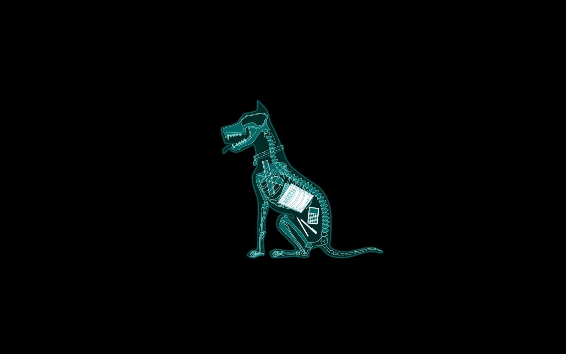 Minimalist Animal 桌布 壁紙 — 發光的青色X光風格狗骨架，在黑色背景上揭示內部科技小工具。