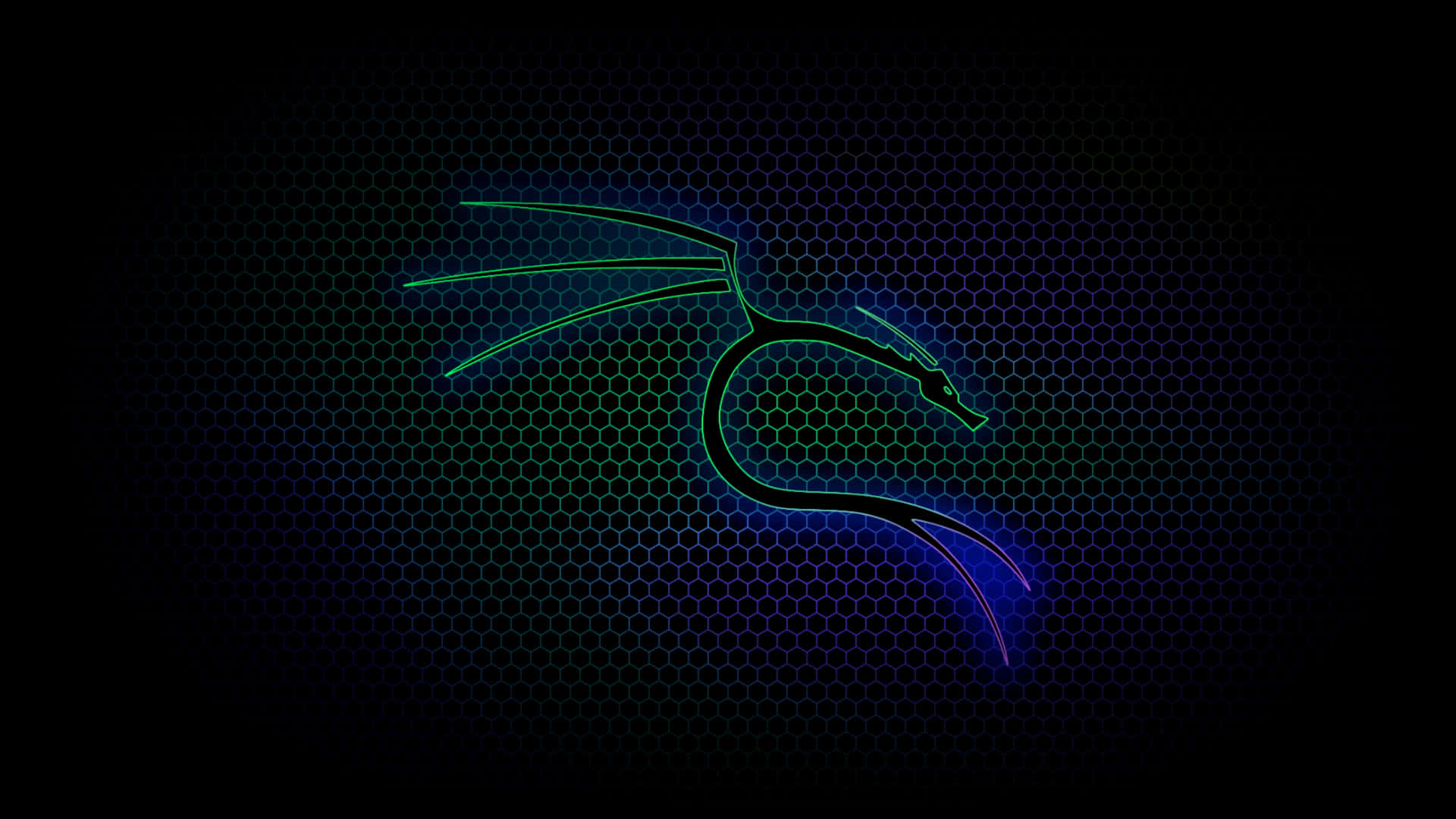 六邊形網格背景上的霓虹龍剪影 — Kali Linux 壁紙