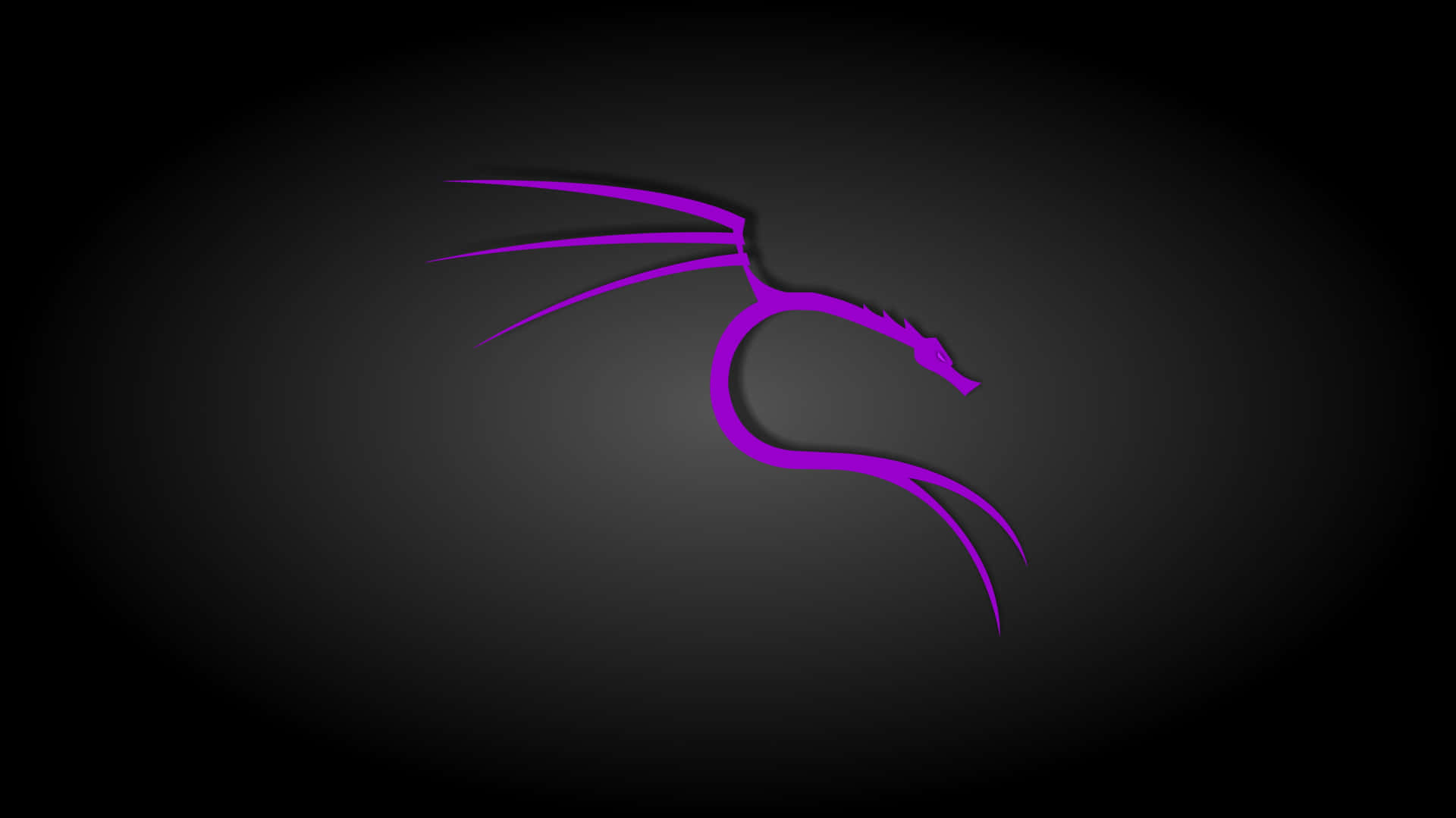 深色漸變背景上的紫色龍標誌 — Kali Linux 壁紙