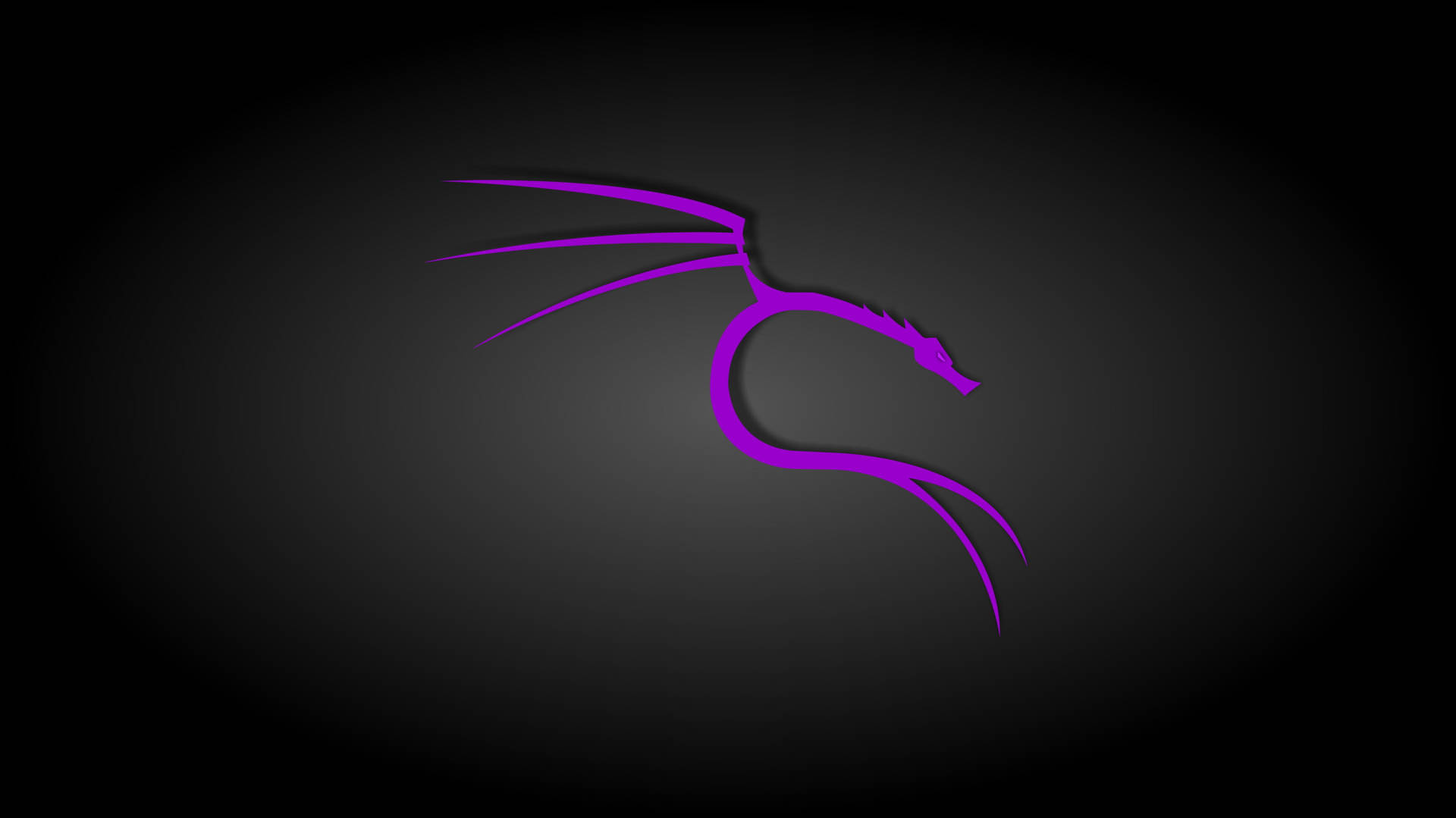 深色漸變背景上的紫色龍標誌 — Kali Linux 壁紙