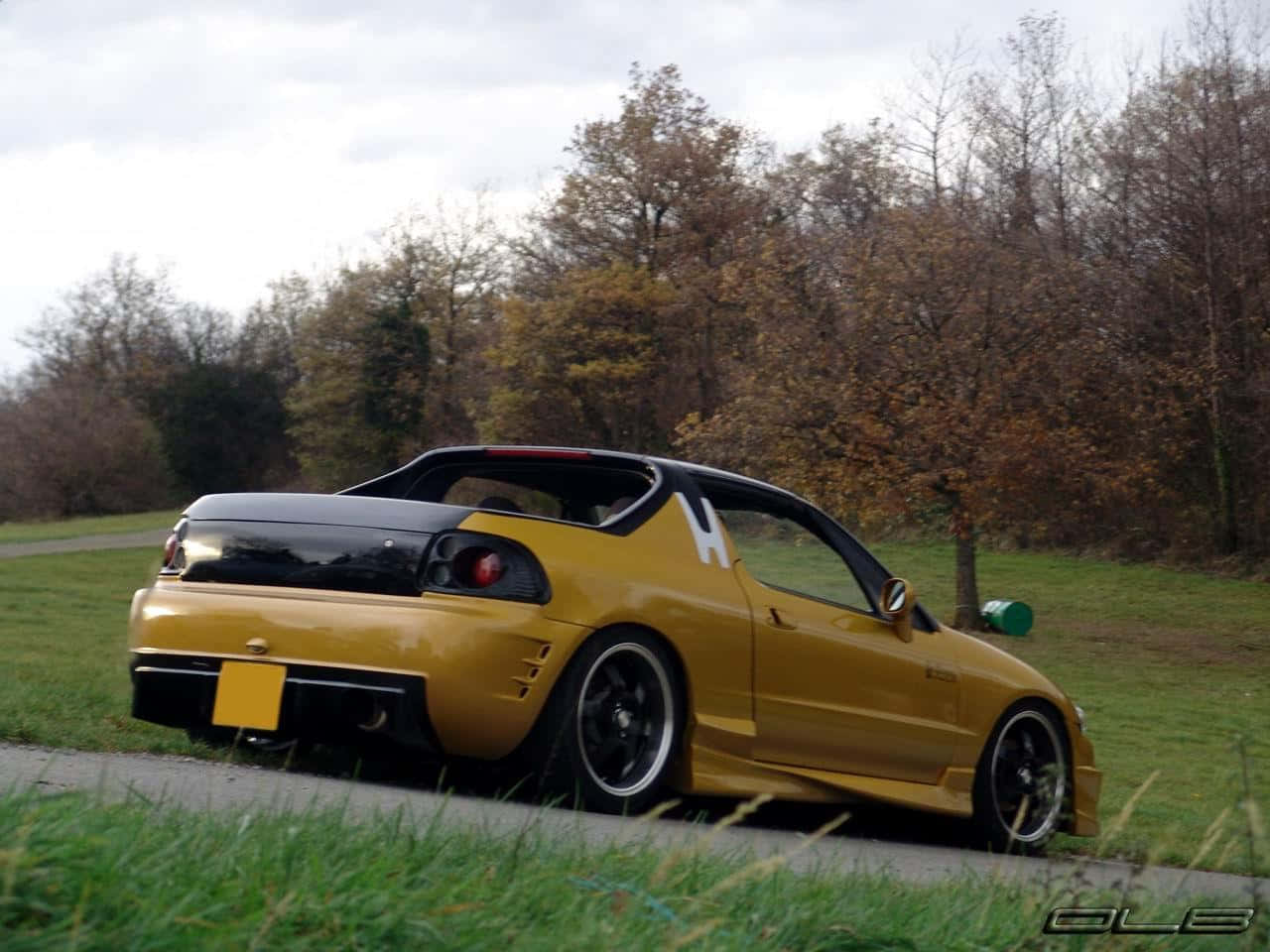 Honda Civic Del Sol 桌布 壁紙 — 一輛金色和黑色的改裝跑車停在草地路邊，背景是秋天的樹木，天空多雲。