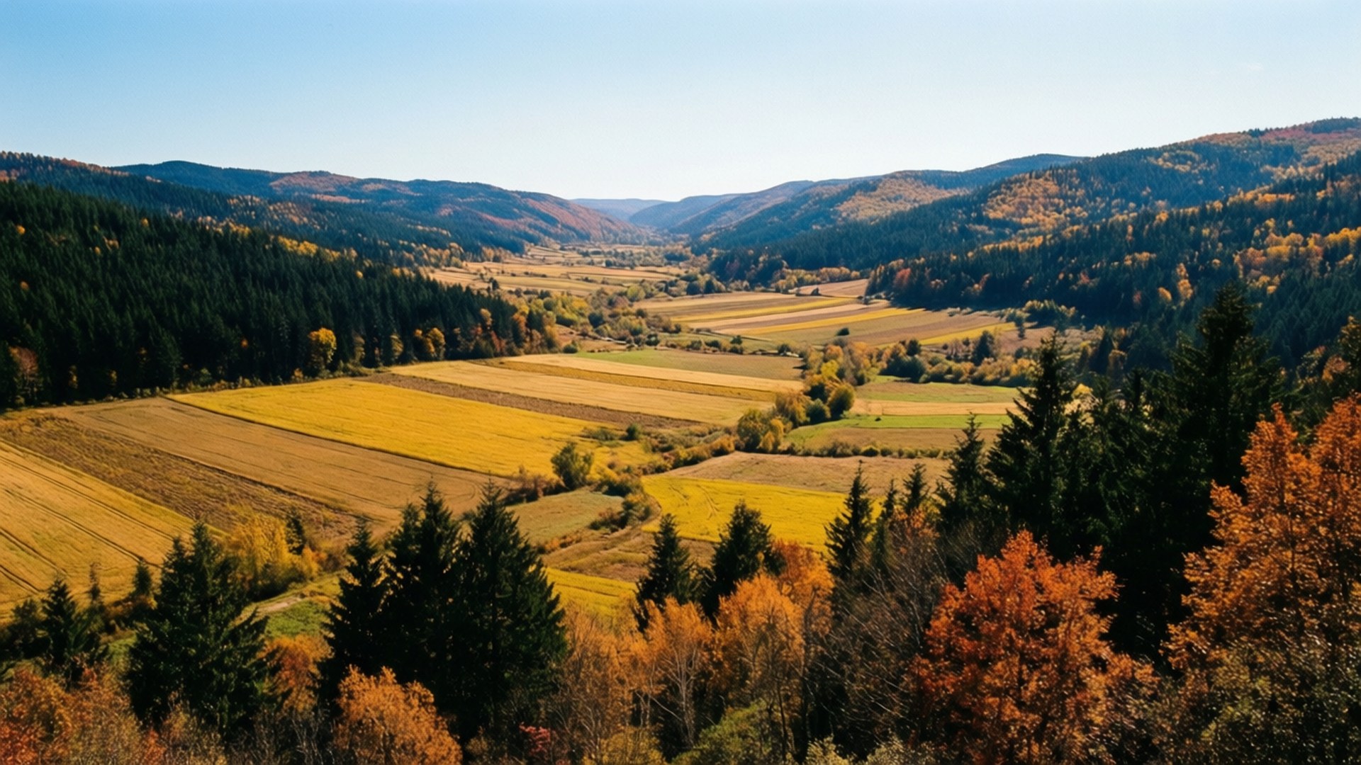 Valley of Colors 壁紙 — 廣闊的秋日景色展現出金色田野，位於樹木繁茂的山丘之間，在清澈的藍天下。