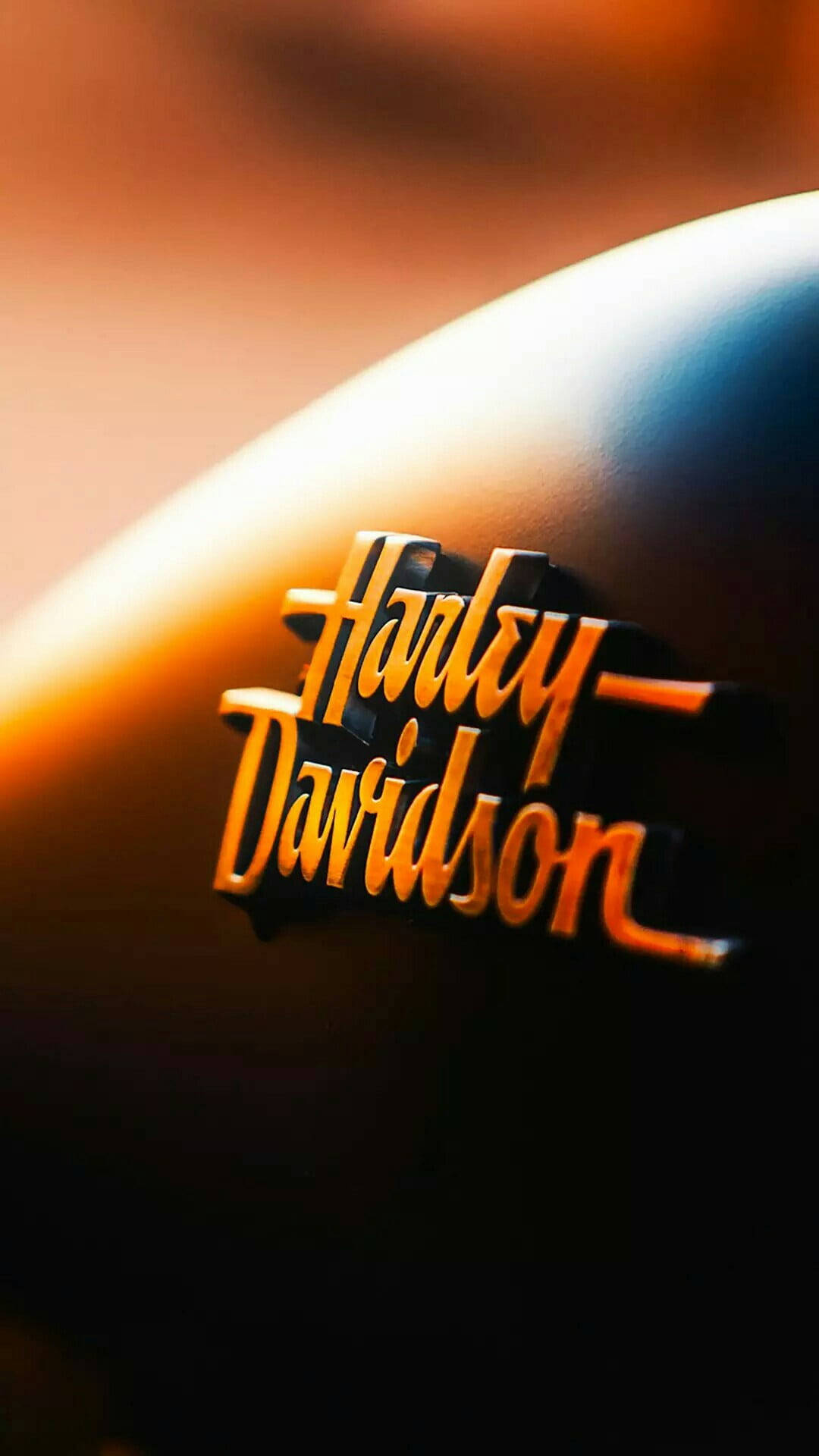 標誌 桌布 壁紙 — Golden Harley-Davidson logo gleams on a sleek motorcycle tank under warm sunset light with soft bokeh background.