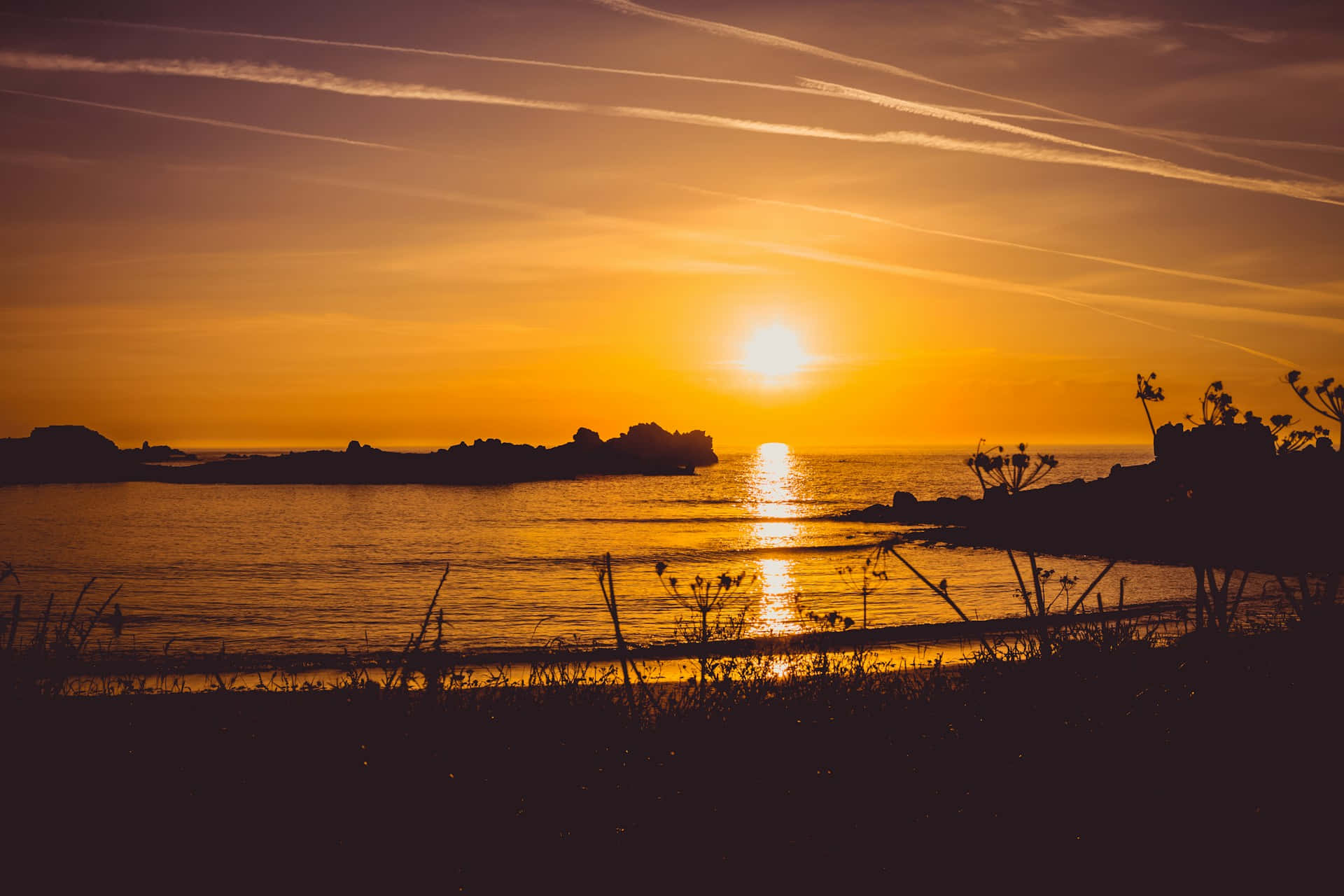  壁紙 — 金色夕陽照耀平靜海面，前景有剪影岩石和野草。