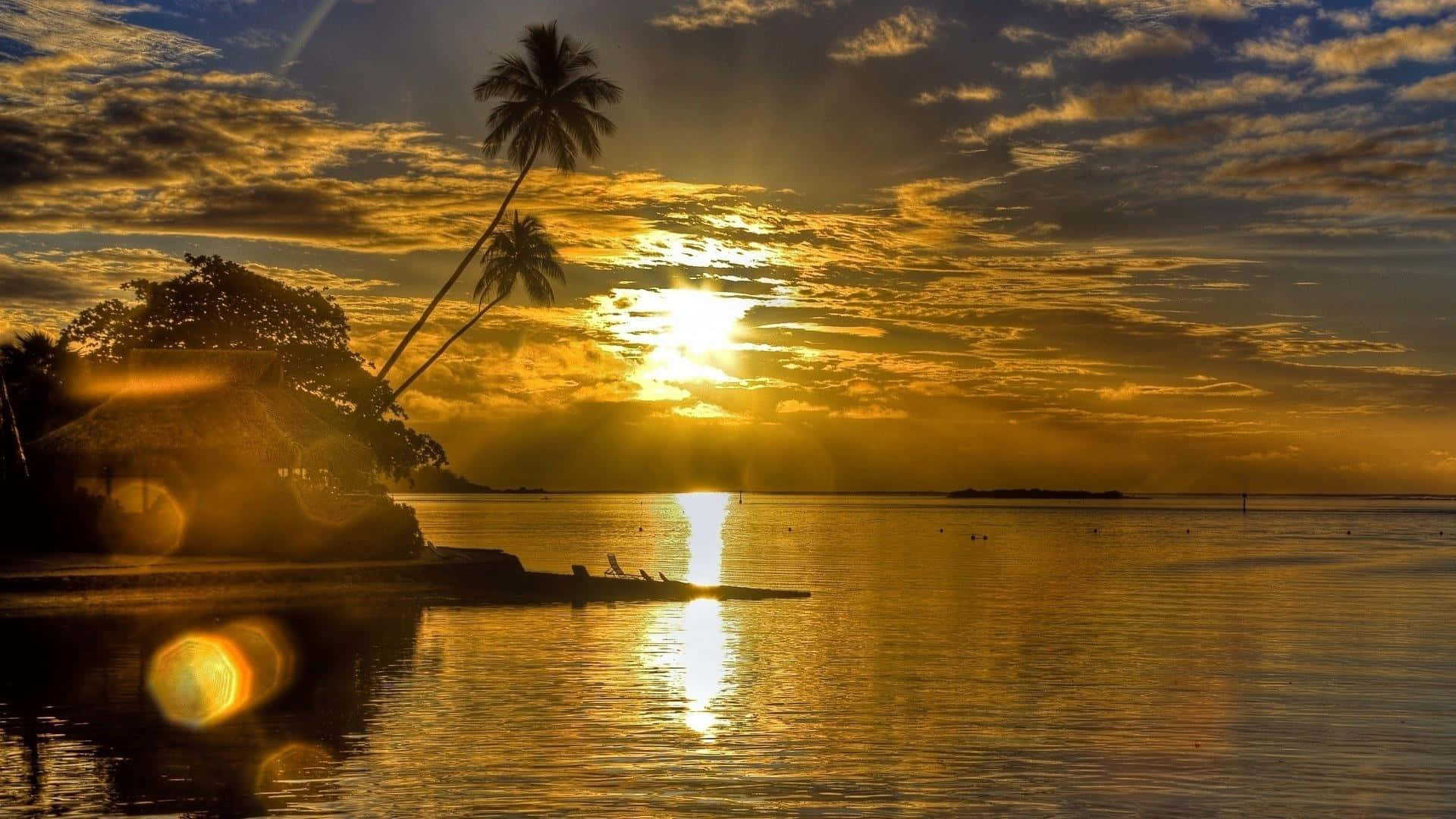 Sunset Reflection 桌布 壁紙 — 金色夕陽照耀在平靜的熱帶水域上，棕櫚樹和茅草屋的剪影映襯在寧靜的海灘上。