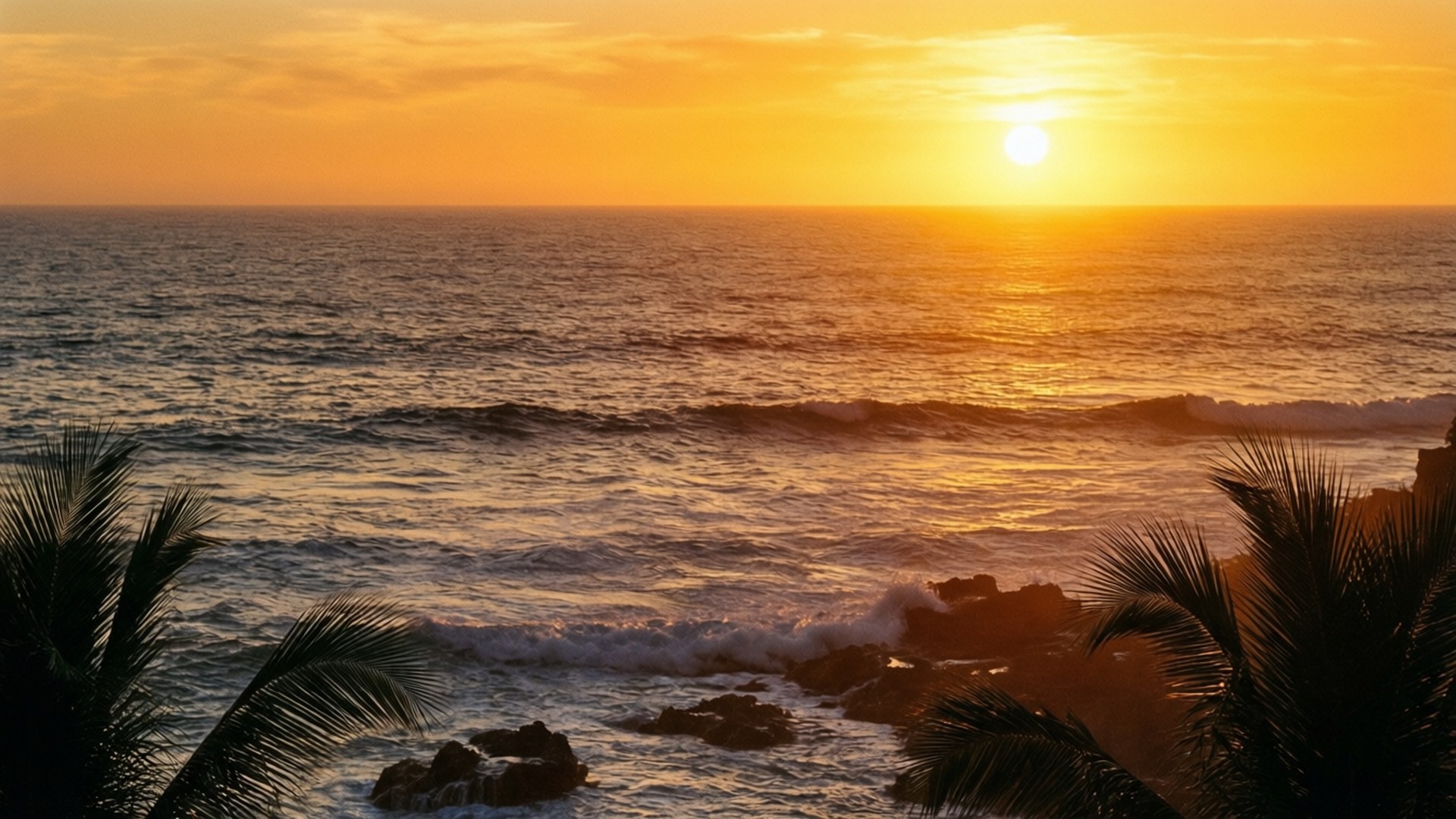 Captivating 桌布 壁紙 — 金色夕陽照耀著海浪拍打岩石海岸，棕櫚葉的剪影構成畫框。