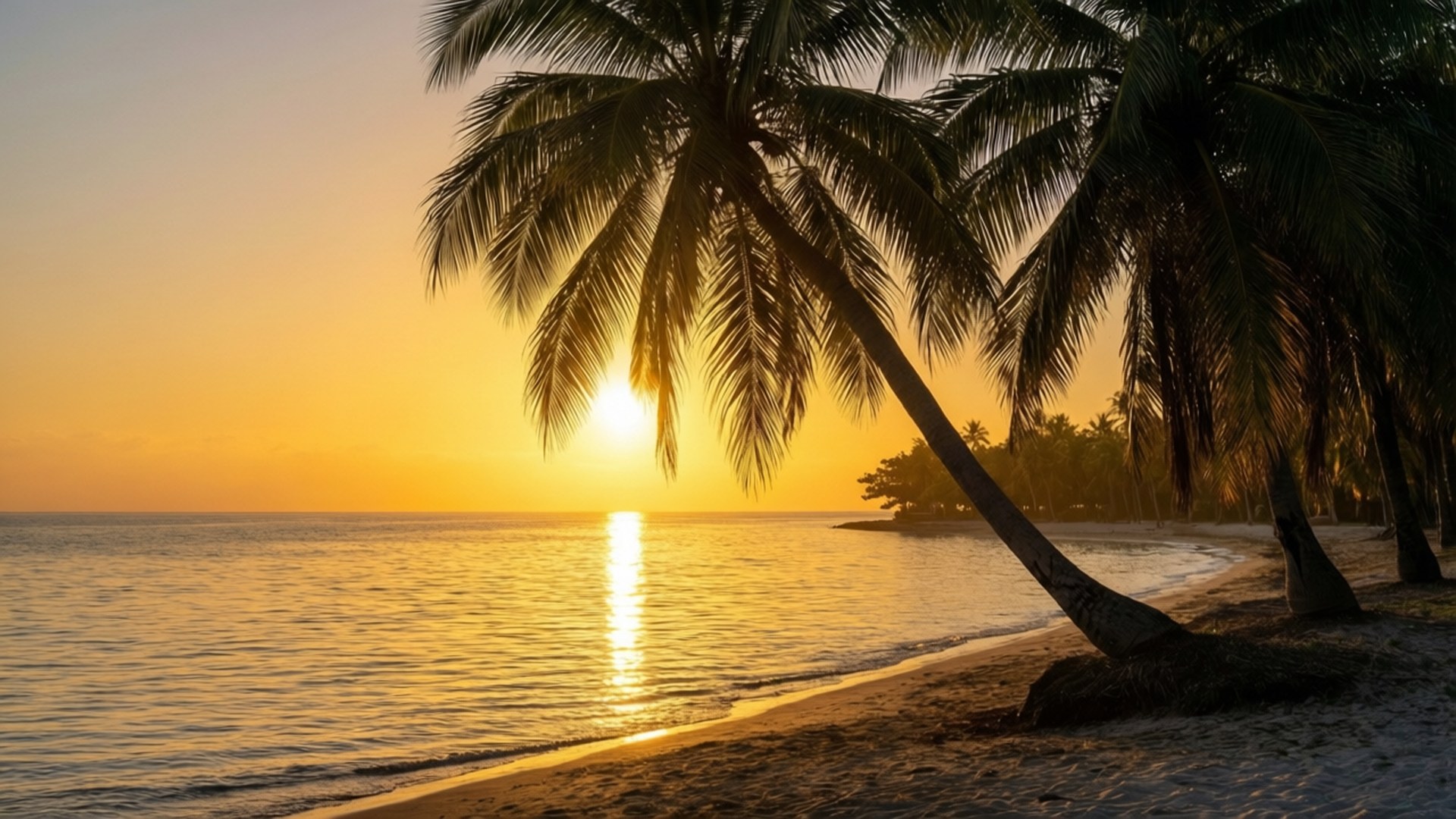 Tropical Beach Sunset 壁紙 — 金色夕陽在棕櫚樹剪影後閃耀，在寧靜的海灘上投下長長的影子。