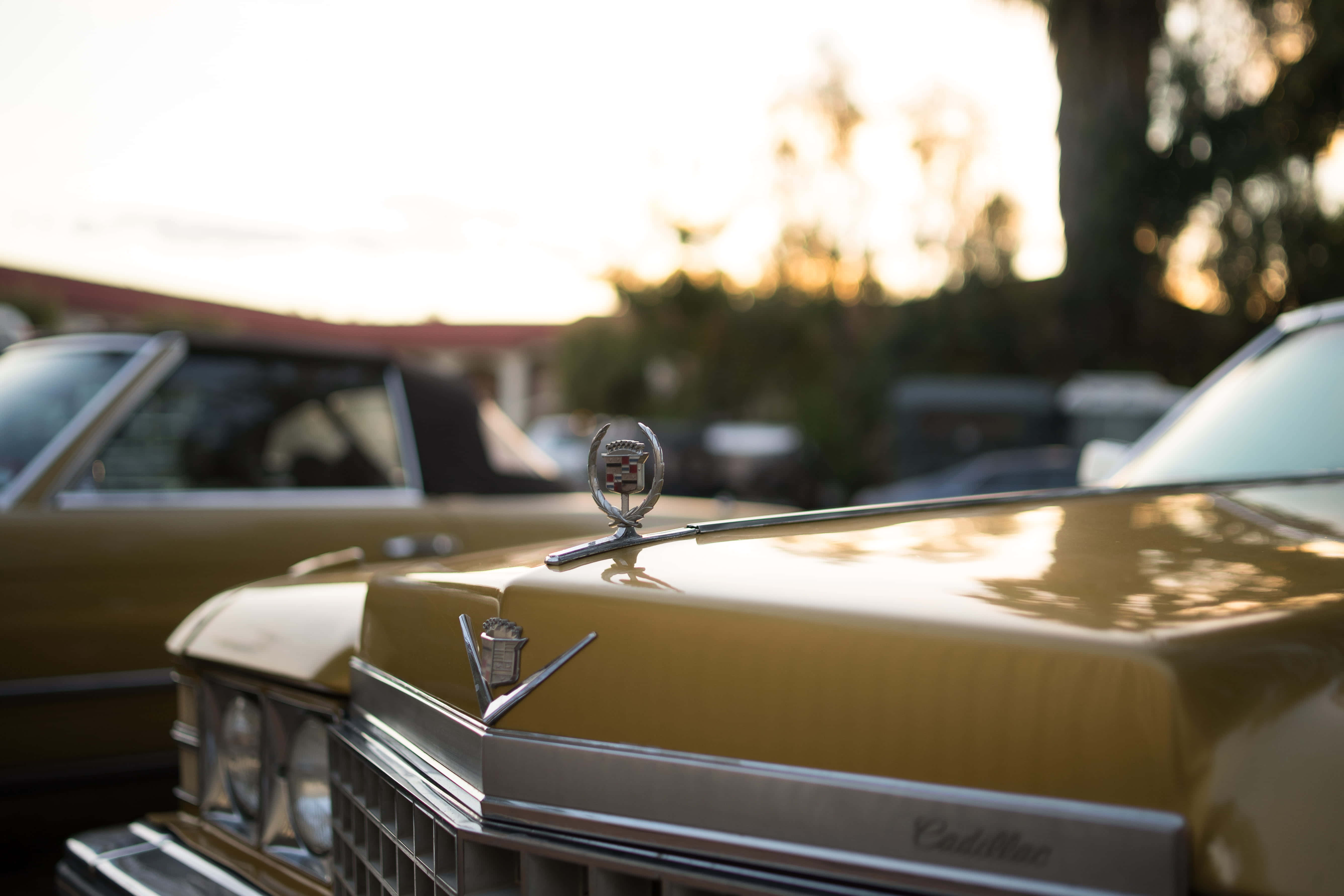 Cadillac Deville 桌布 壁紙 — 金色復古凱迪拉克在溫暖的夕陽光下閃耀，帶有鍍鉻細節和模糊的樹木背景。