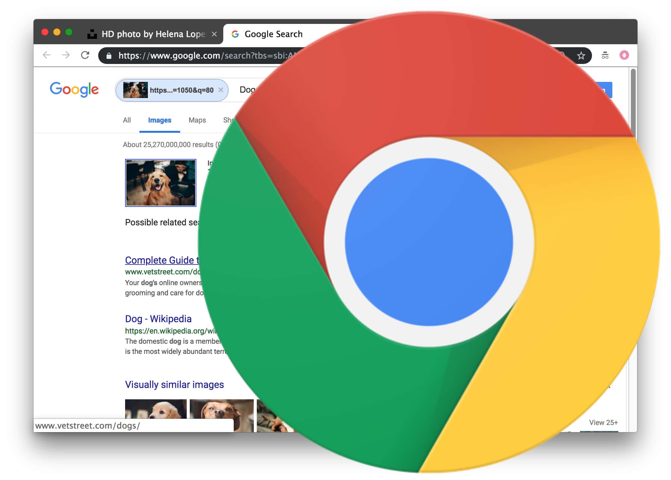 Google Chrome 圖片 壁紙
