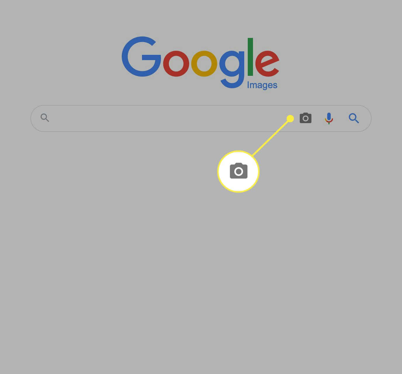 Google 圖片搜尋列，相機上傳按鈕被突出顯示。 — Google Meet 壁紙