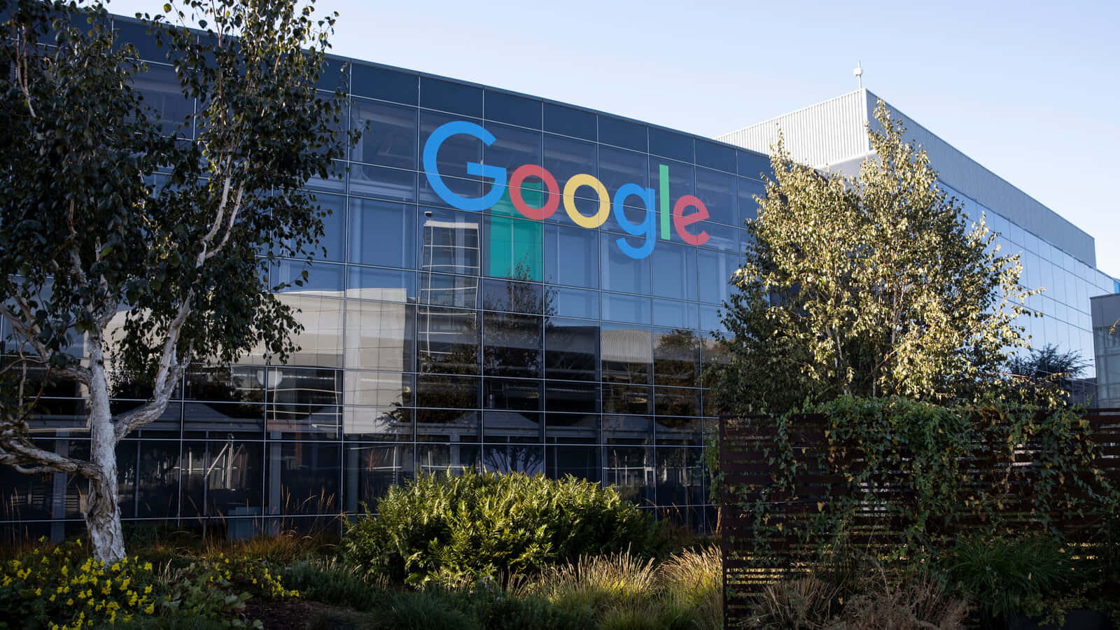 Google 辦公大樓，玻璃外牆和色彩繽紛的標誌，周圍環繞樹木。 — Google Meet 壁紙