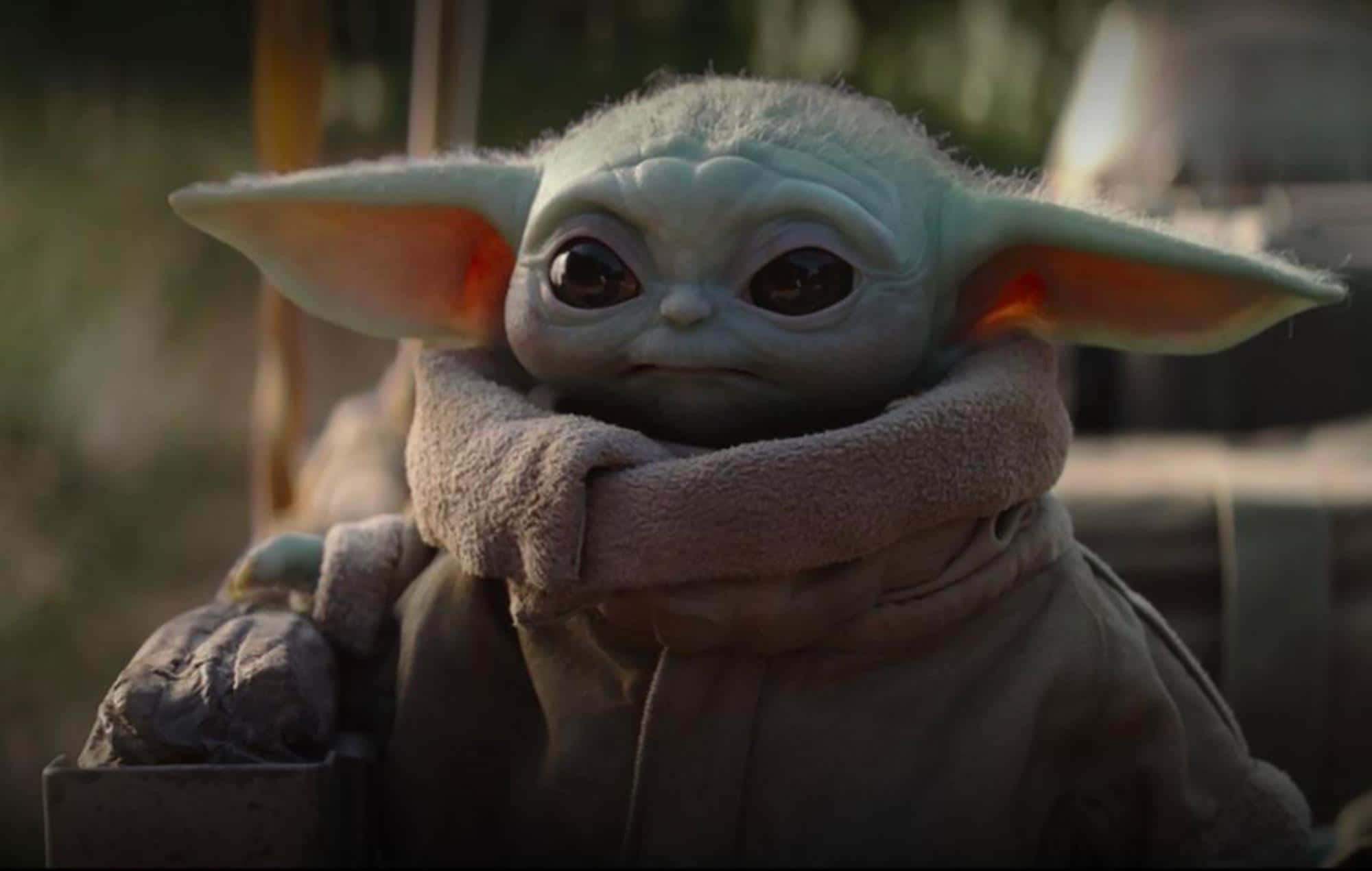 Mandalorian Yoda 桌布 壁紙 — Grogu 包裹在柔軟圍巾中的特寫，有大耳朵和充滿好奇的大眼睛。