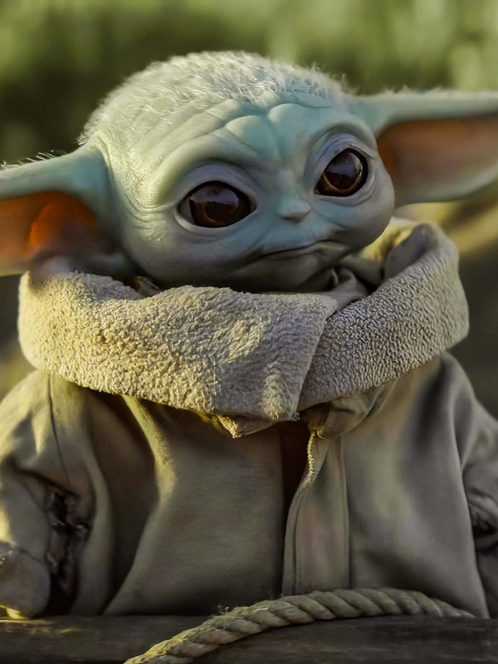 Baby Yoda Phone 桌布 壁紙 — Grogu 的特寫，可愛的綠色外星人，大眼睛，包裹在一件舒適的米色連帽斗篷裡。