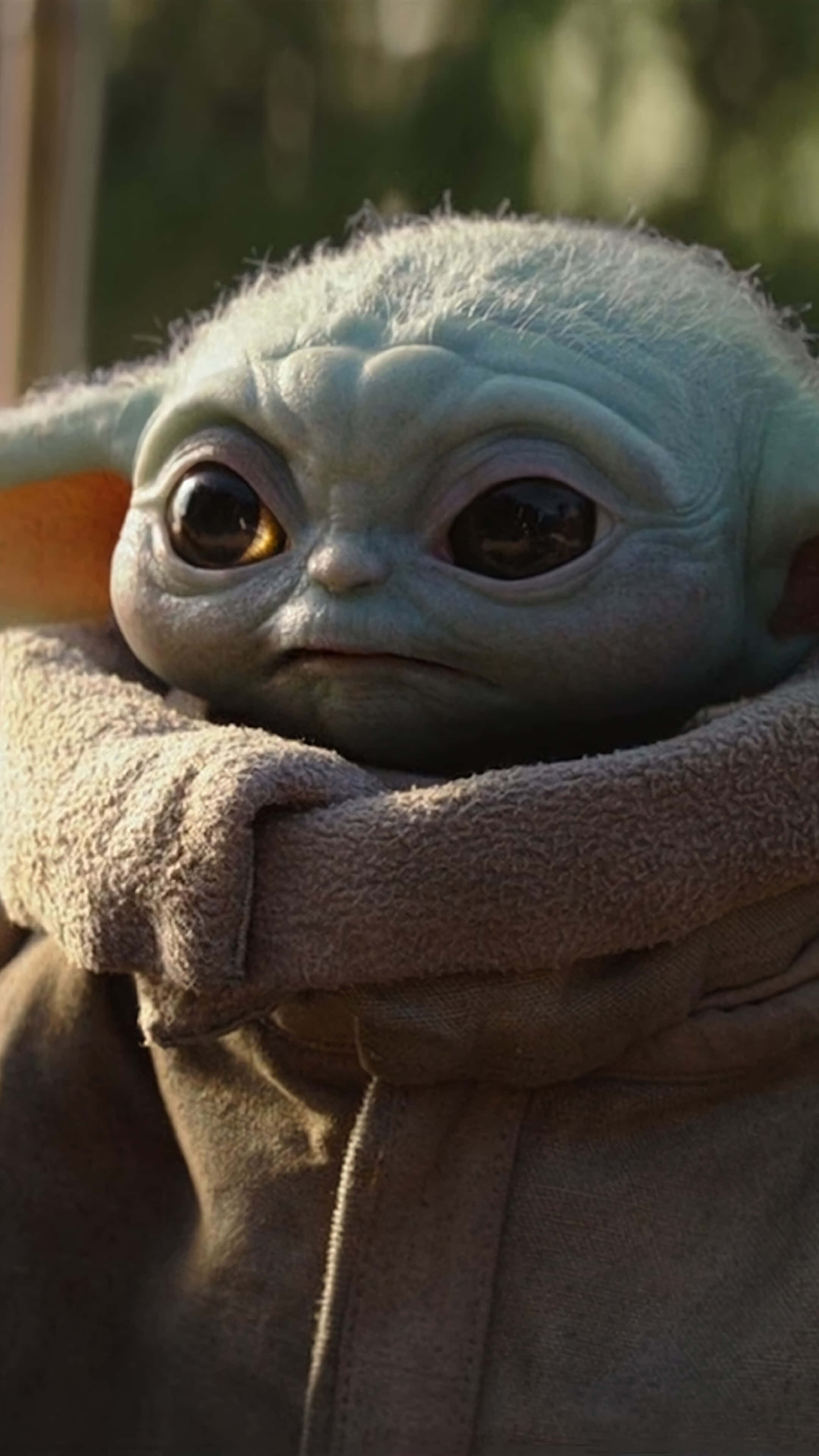 Baby Yoda Phone 桌布 壁紙 — Grogu 的特寫，可愛的綠色外星人，大眼睛，包裹在舒適的棕色長袍裡。
