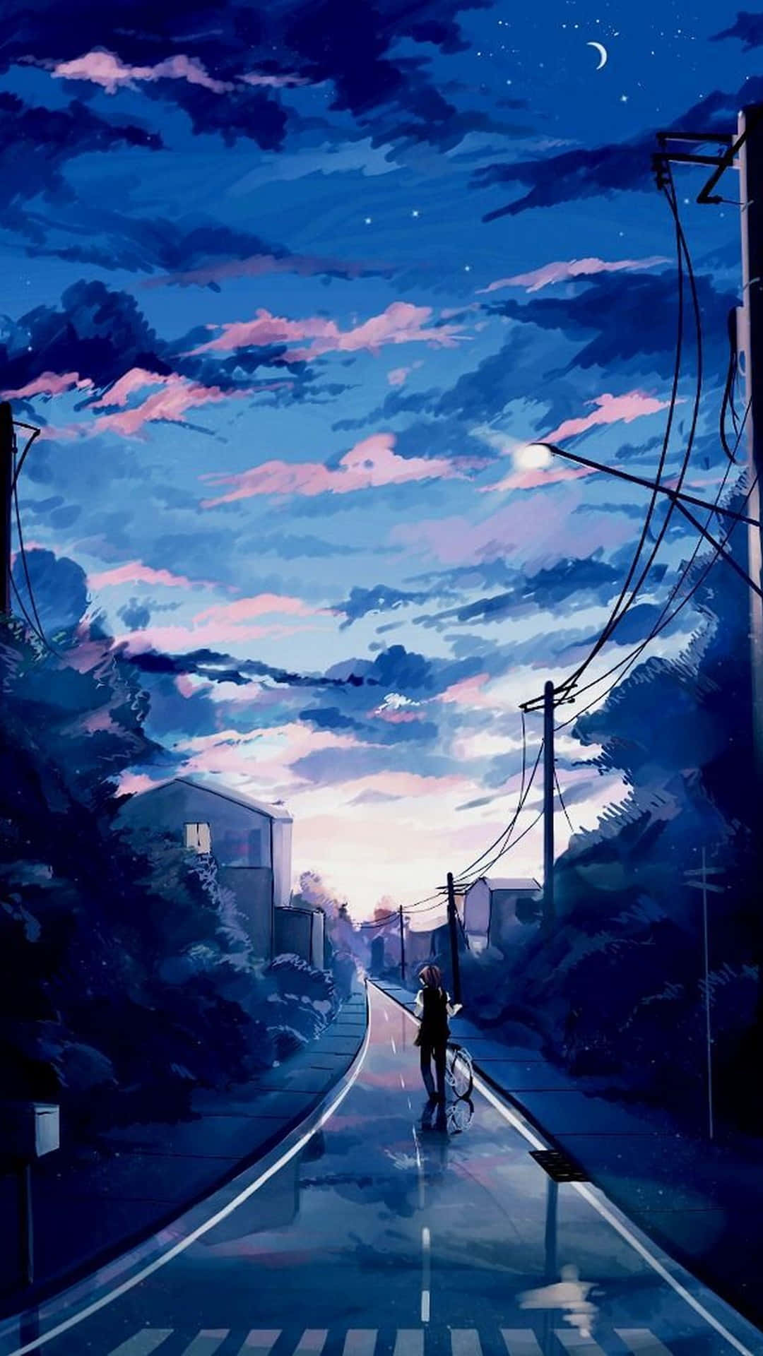  壁紙 — 一個孤獨的騎單車者沿著潮濕的郊區道路行駛，在佈滿粉紅色雲彩和新月的暮色天空下。