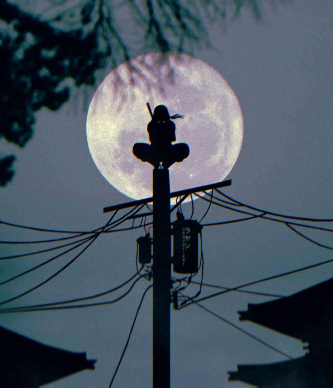  壁紙 — 一個孤獨的身影坐在電線桿頂端，以巨大的發光滿月為背景形成剪影，樹枝框住了整個場景。