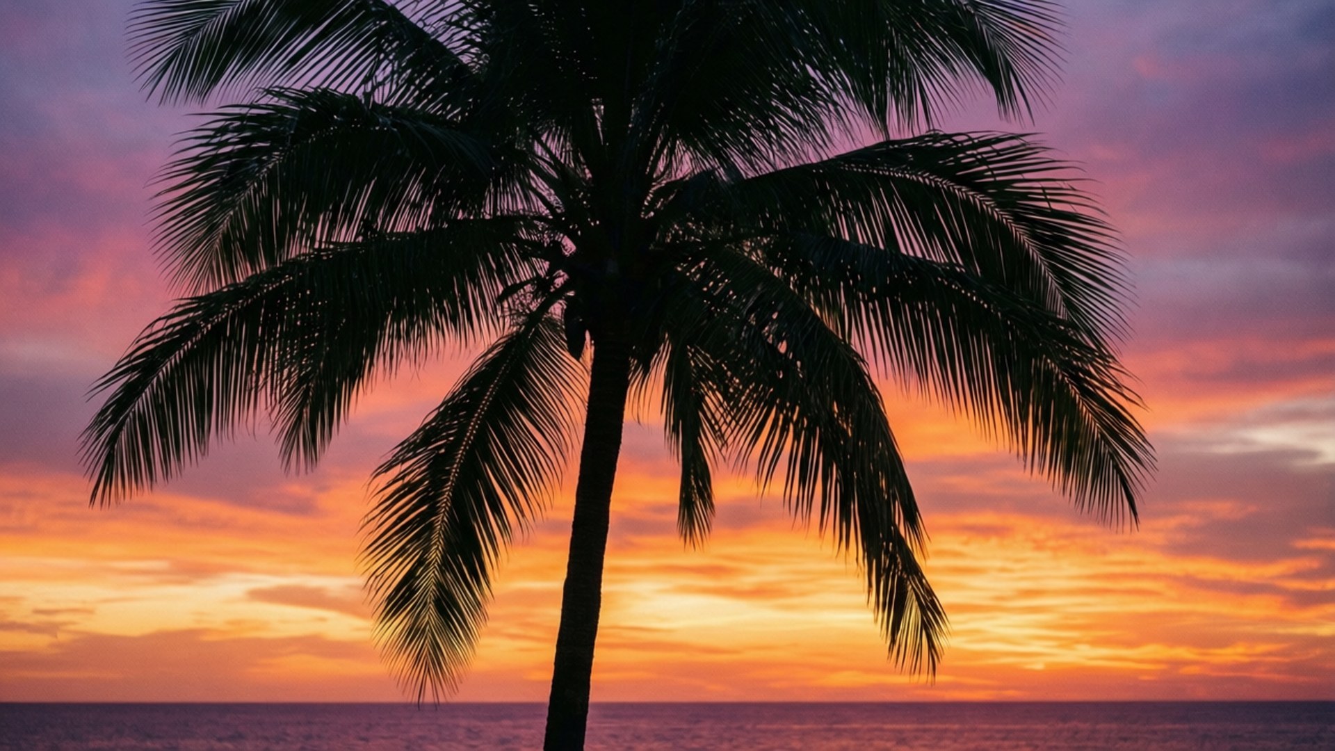 Palm Tree Sunset 壁紙 — 一棵孤獨的棕櫚樹在平靜的海洋上，以火熱的橙色、粉紅色和紫色雲彩的鮮豔日落為背景形成剪影。