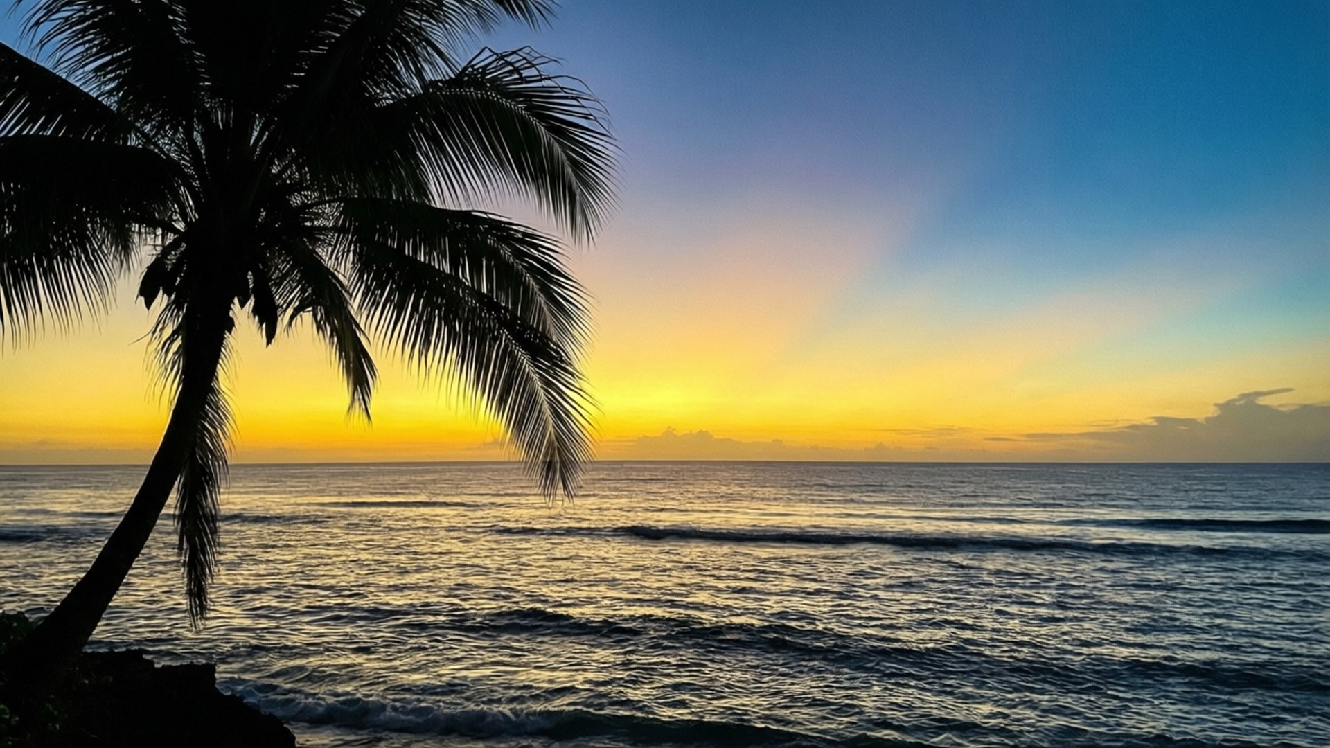 Tropical Paradise Sunset 壁紙 — 一棵孤獨的棕櫚樹在平靜的海面上，襯著鮮豔的日落形成剪影。