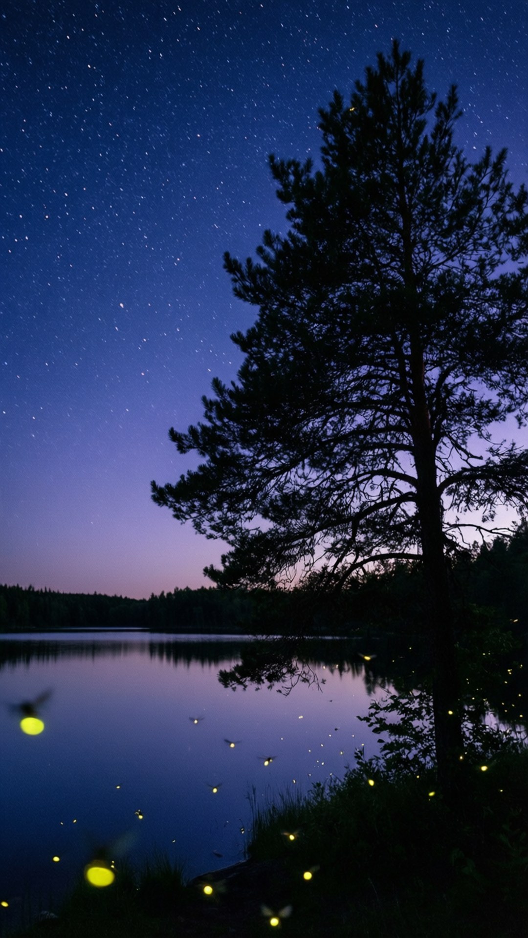 Starry Summer Night 壁紙 — 一棵孤獨的松樹在繁星點點的暮色天空中呈現剪影，倒映在點綴著螢火蟲的平靜湖面上。