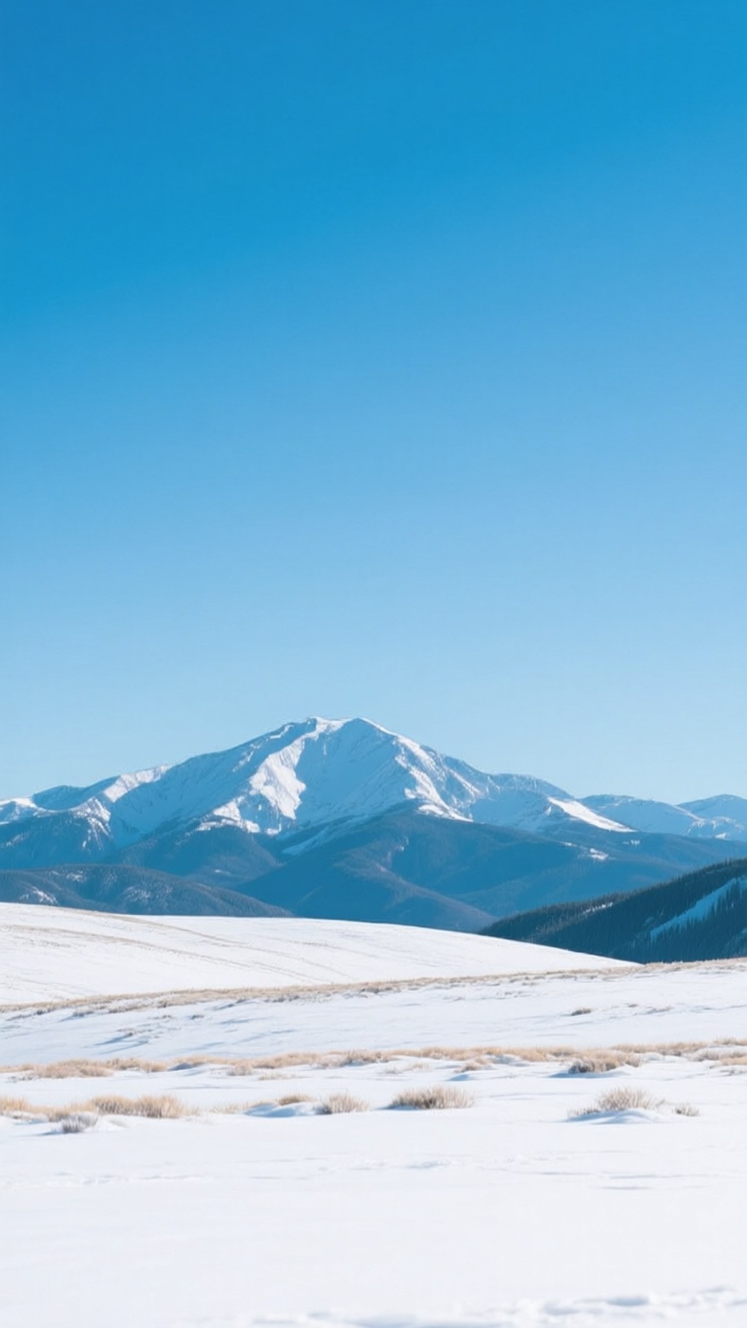 Pikes Peak Winter Summit 壁紙 — 廣闊的雪原在晴朗明亮的藍天下延伸至遠處的雪山。