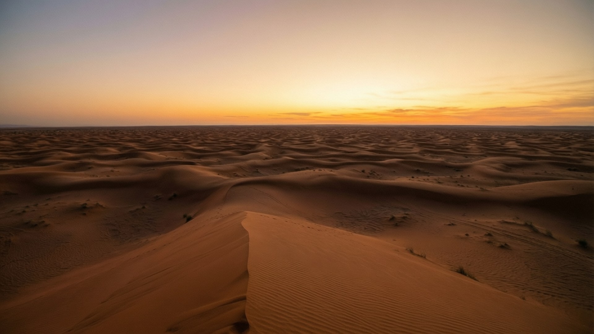 Desert Dunes Dusk 壁紙 — 廣闊的金色沙丘在柔和的橙色和紫色日落天空下延伸。