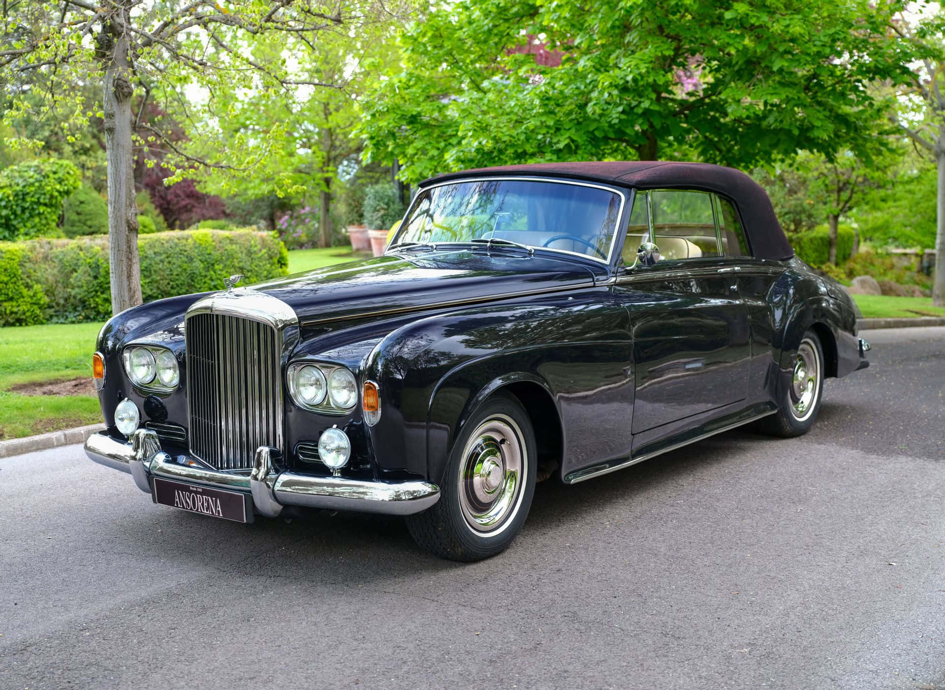 Bentley S3 桌布 壁紙 — 一輛光澤黑色經典賓利敞篷車停放在綠樹成蔭的車道上，背景是茂密的綠植。