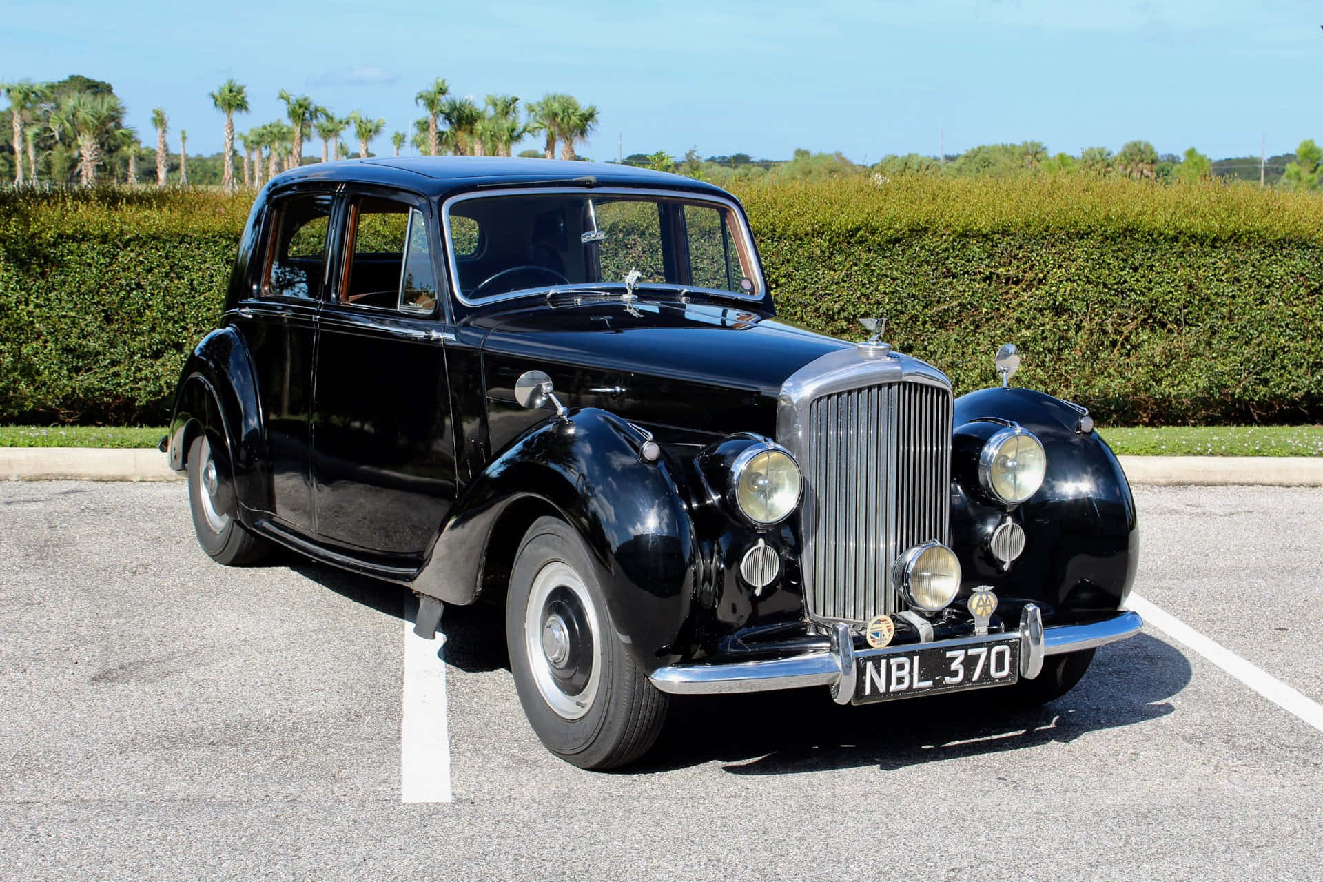Bentley Mark Vi 桌布 壁紙 — 一輛光澤黑色 vintage Rolls-Royce 自豪地停放在陽光普照的停車場，周圍是修剪整齊的樹籬和棕櫚樹。