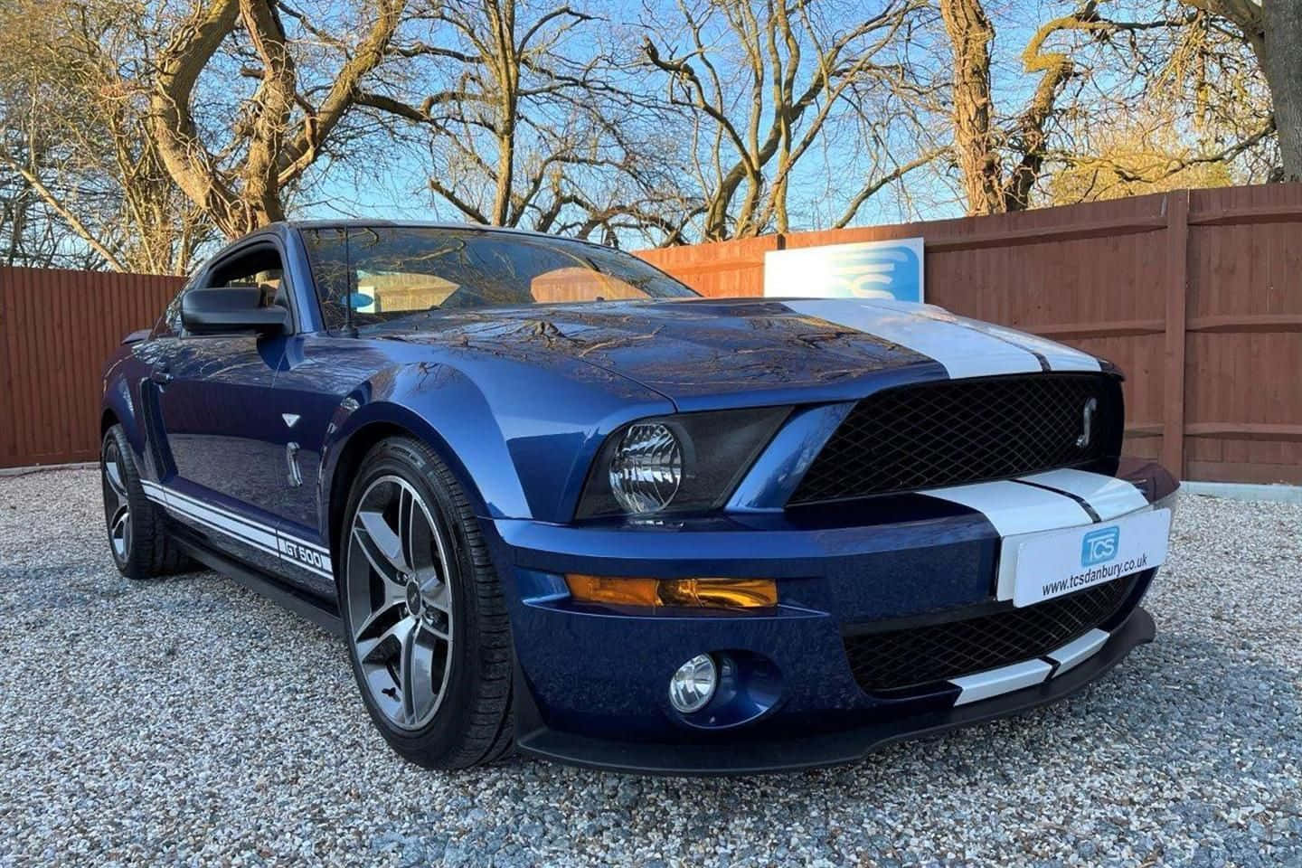  壁紙 — 一輛光澤藍色福特野馬Shelby GT500，帶有白色賽車條紋，停在碎石地上，天空清澈湛藍。