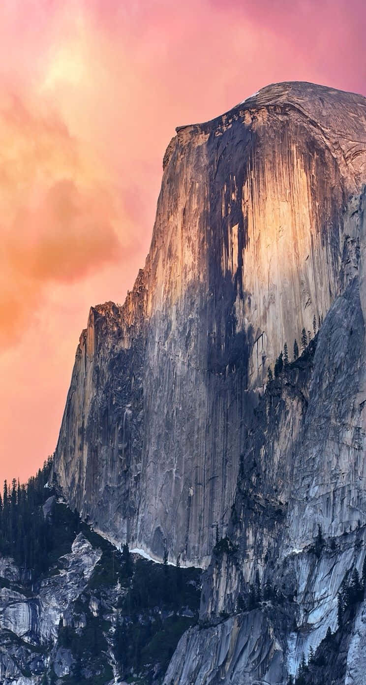 山景 桌布 壁紙 — Half Dome 沐浴在金色夕陽光芒中，映襯著充滿活力的粉紅色和橙色天空，下方是深色的松樹。