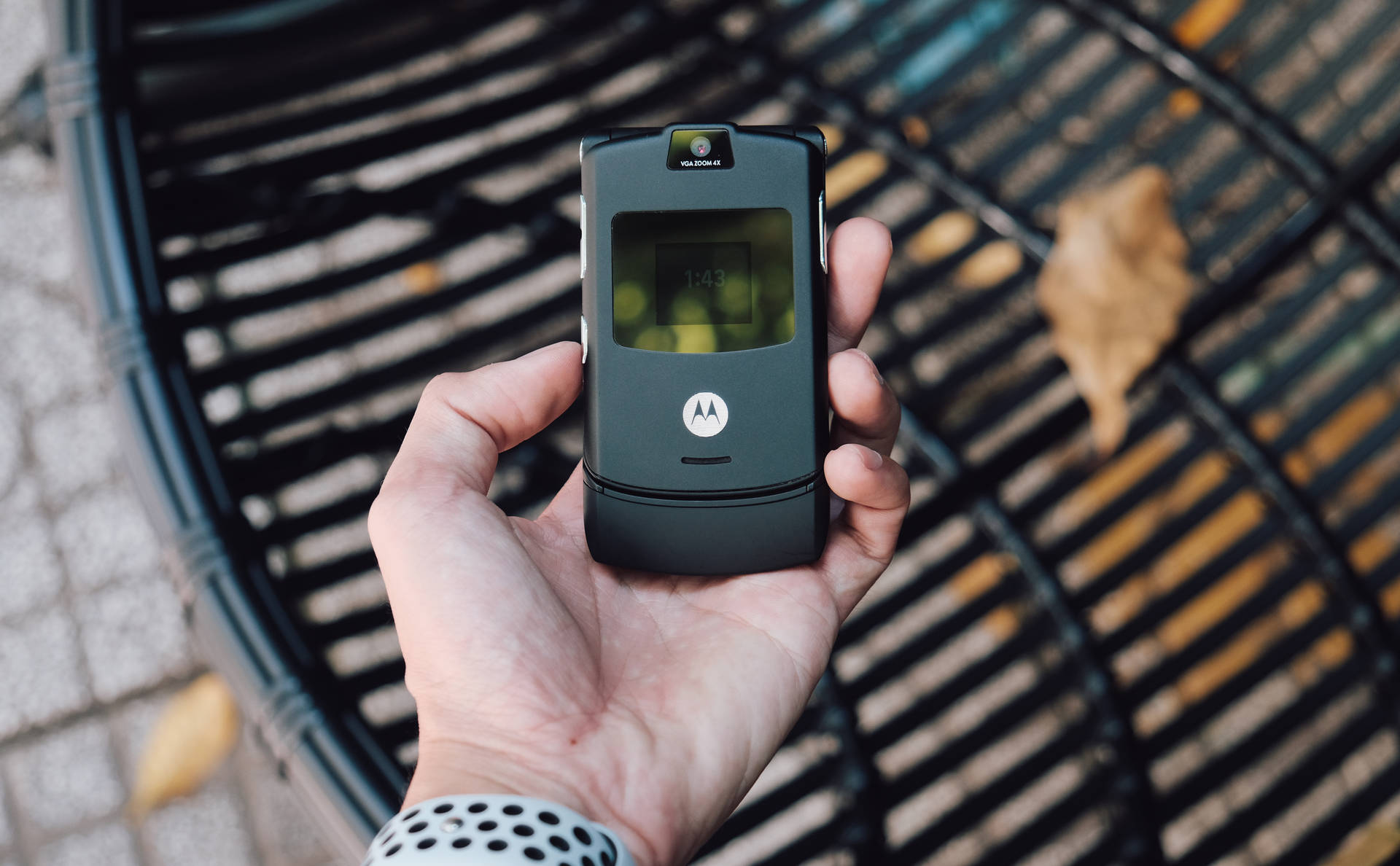 戶外手持黑色Motorola摺疊手機，伴有落葉。 — 手機 壁紙