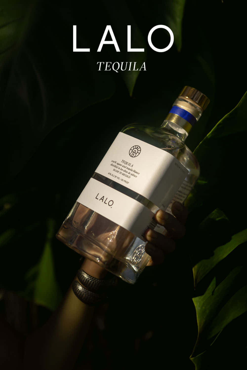  壁紙 — 一隻手拿著一個透明的Lalo龍舌蘭酒瓶，背景是深色茂密的綠葉，在戲劇性的燈光下。