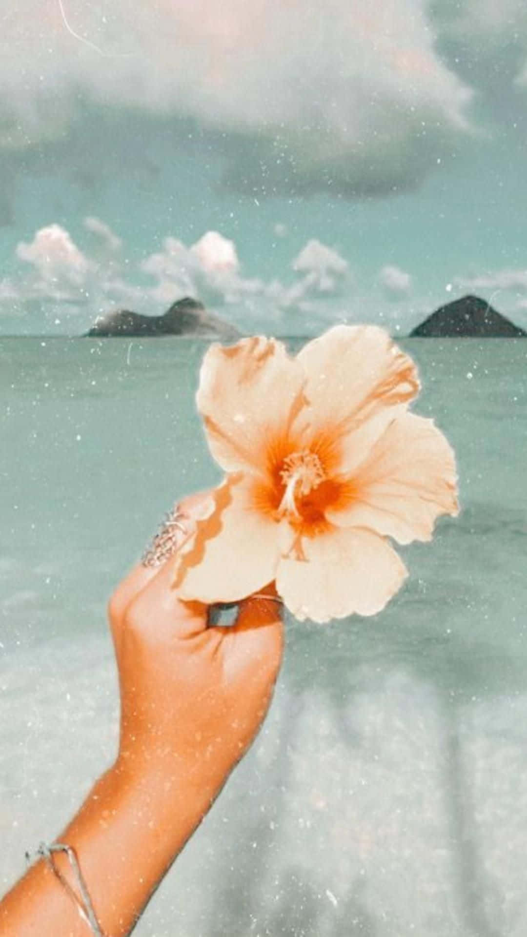  壁紙 — 一隻手拿著一朵精緻的蜜桃色芙蓉花，背景是夢幻的藍綠色海洋，遠處有島嶼和柔軟的雲朵。