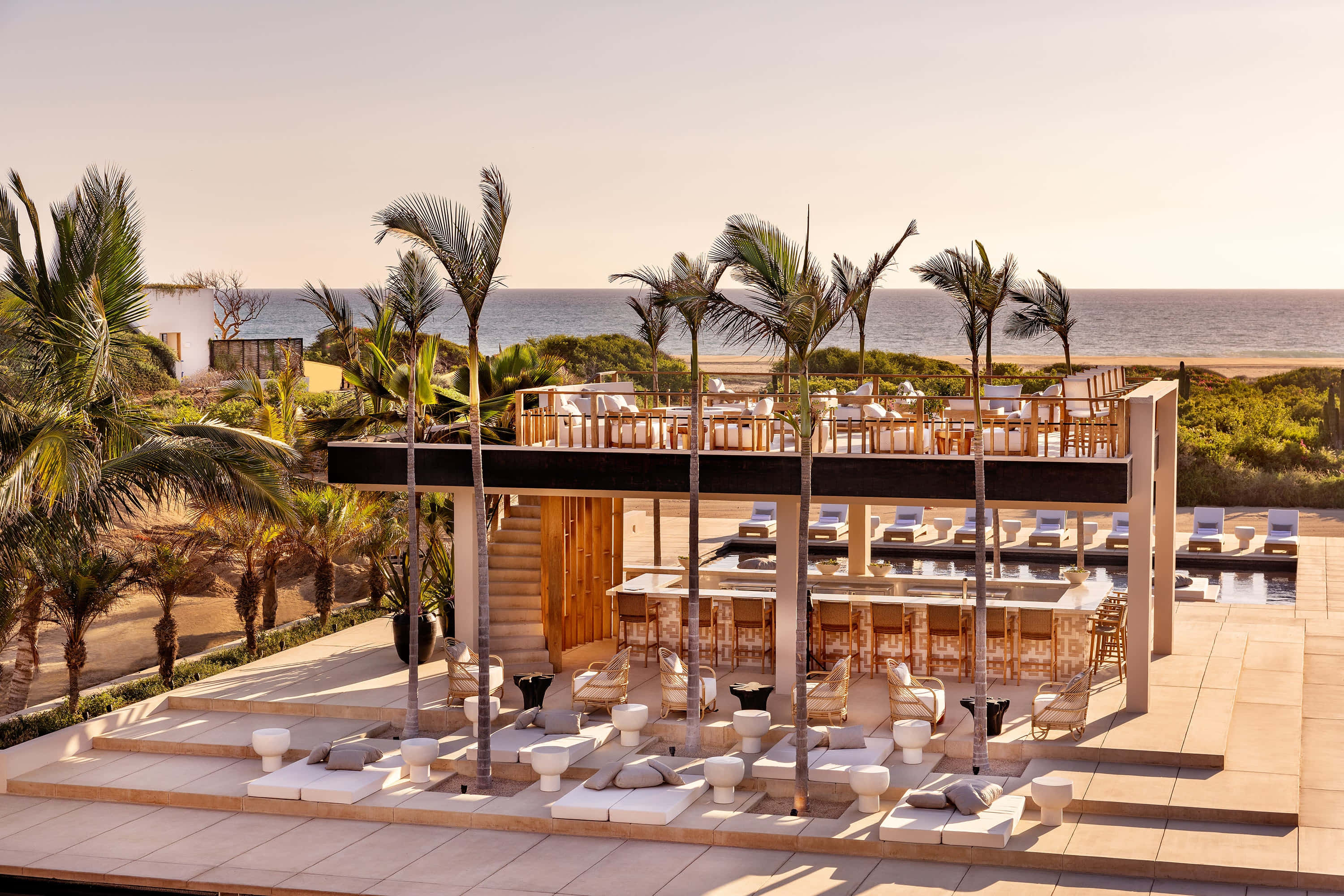 Beach Resort 桌布 壁紙 — 豪華海濱度假村，棕櫚樹和日光躺椅，俯瞰黃金時段的海洋。