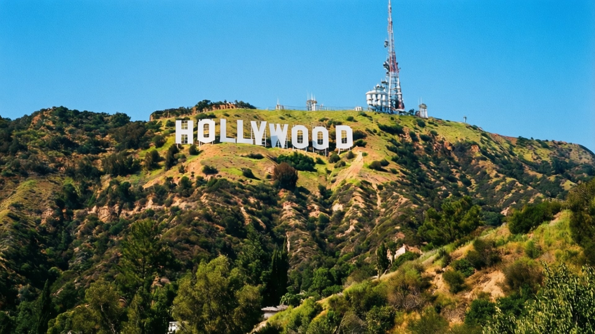 Hollywood Sign Blue Sky 壁紙 — 標誌性的好萊塢標誌在陽光明媚、綠樹成蔭的山丘上，在清澈的藍天下傲然矗立。