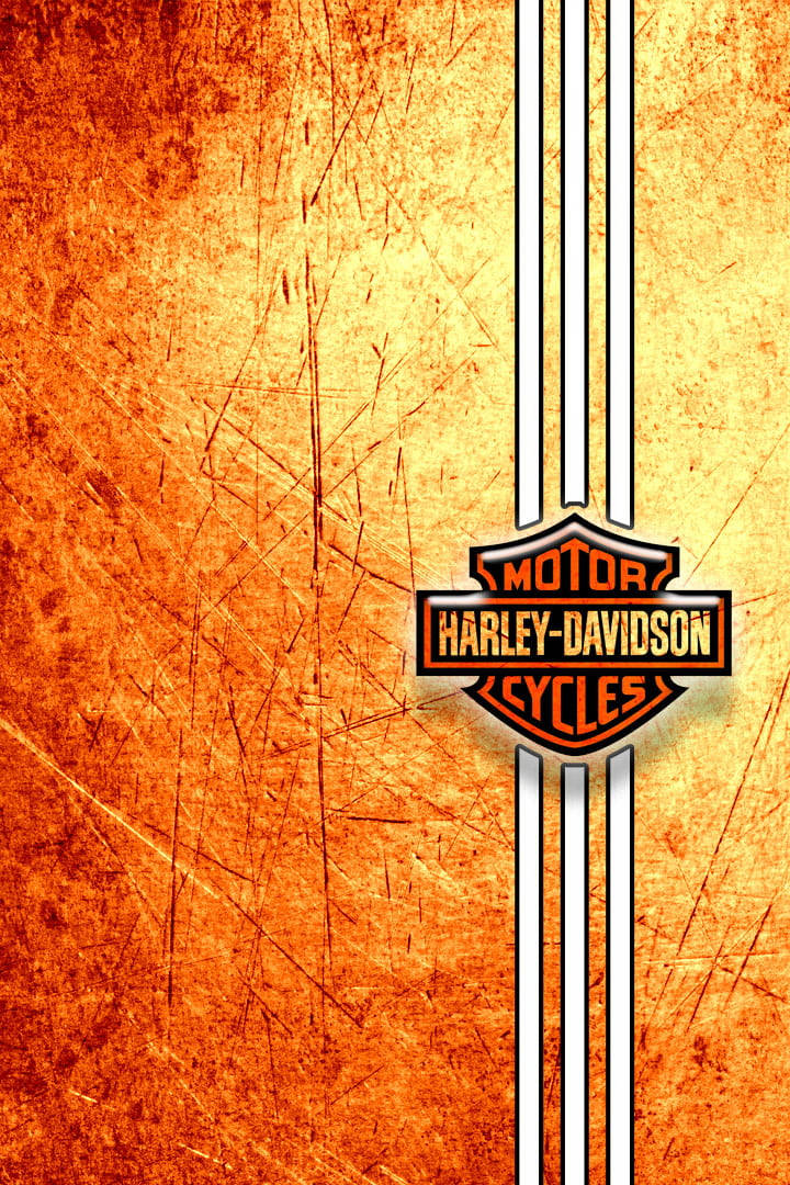 Harley-Davidson 標誌在帶有紋理的橙色和金色背景上，帶有白色條紋。 — 哈雷戴維森 GIF 壁紙