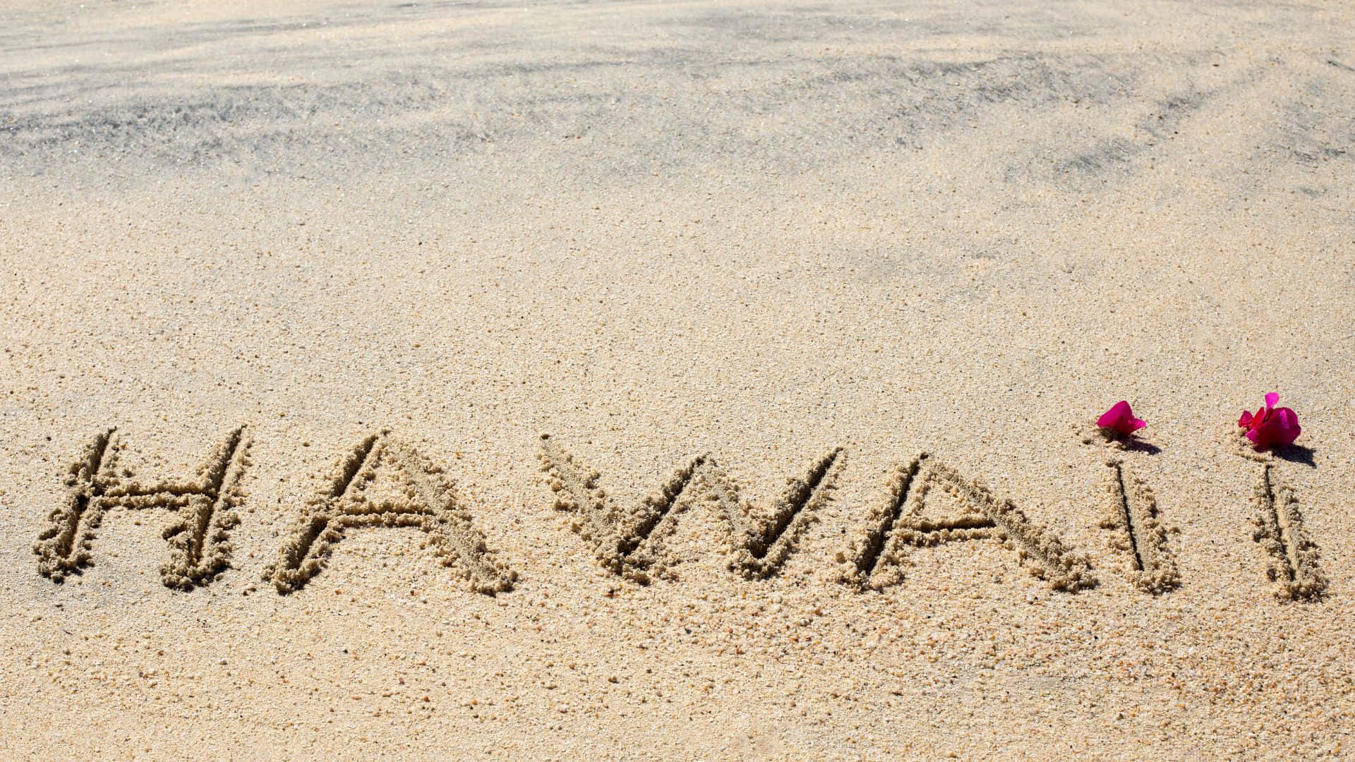夏威夷 桌布 壁紙 — 「hawaii」這個字寫在沙灘的沙子上，旁邊有兩朵粉紅色的花。