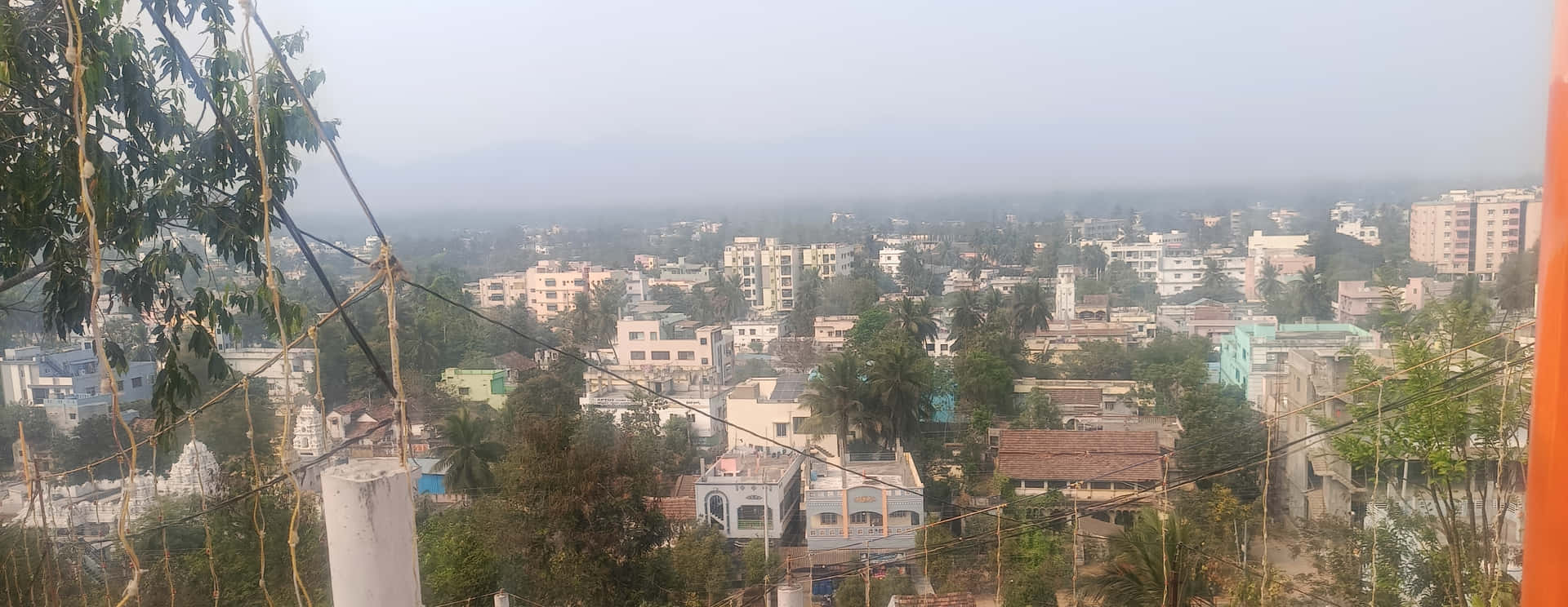 從上方俯瞰的朦朧城市景觀，纏繞的電線和綠樹框住了場景。