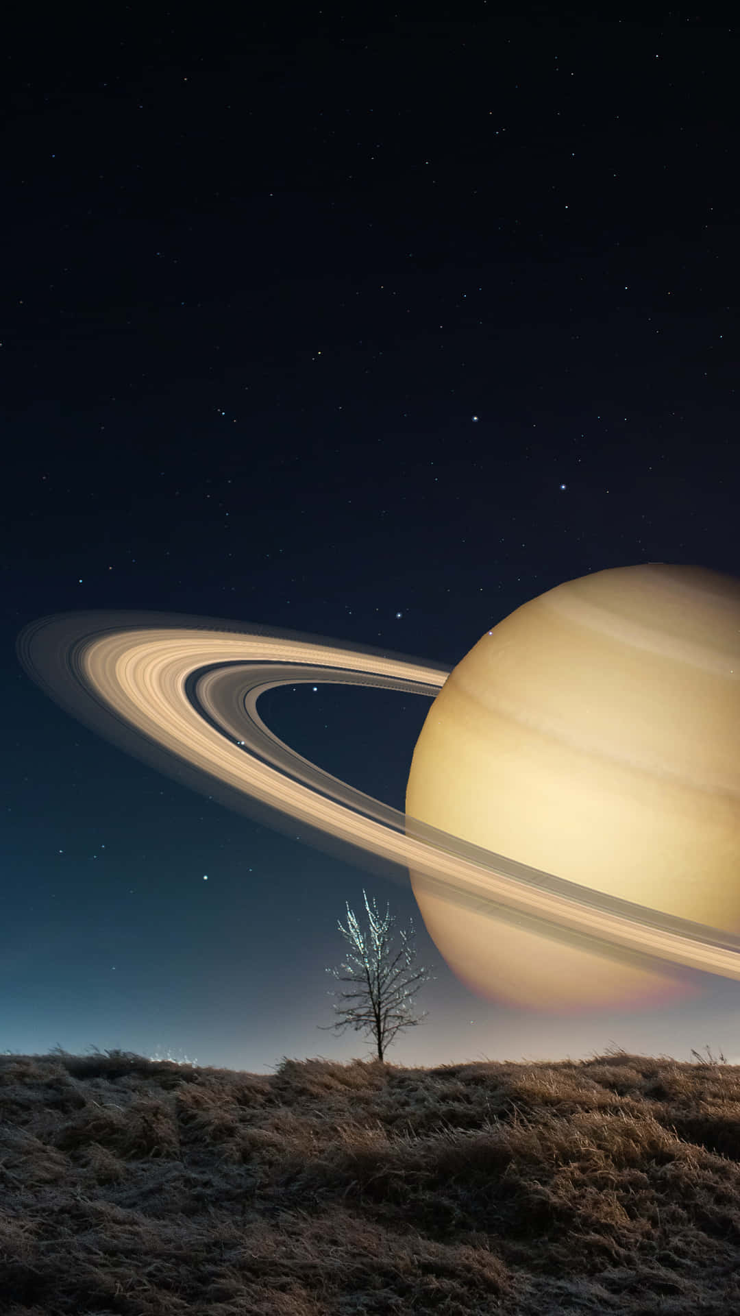 HD 2160 x 3840 背景 壁紙